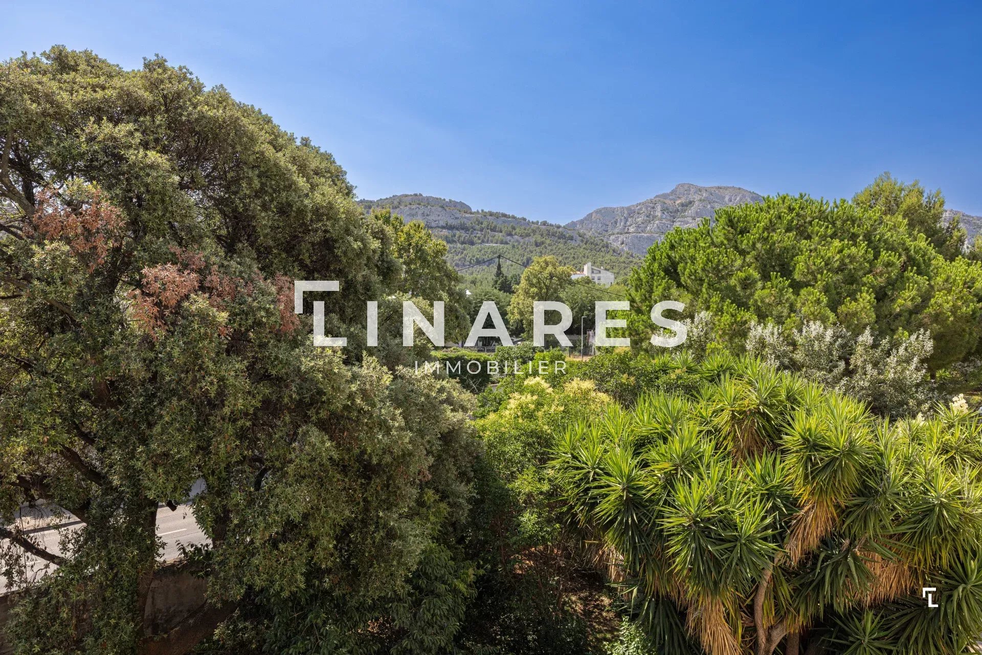 Photo 10 — LLINARES IMMOBILIER
