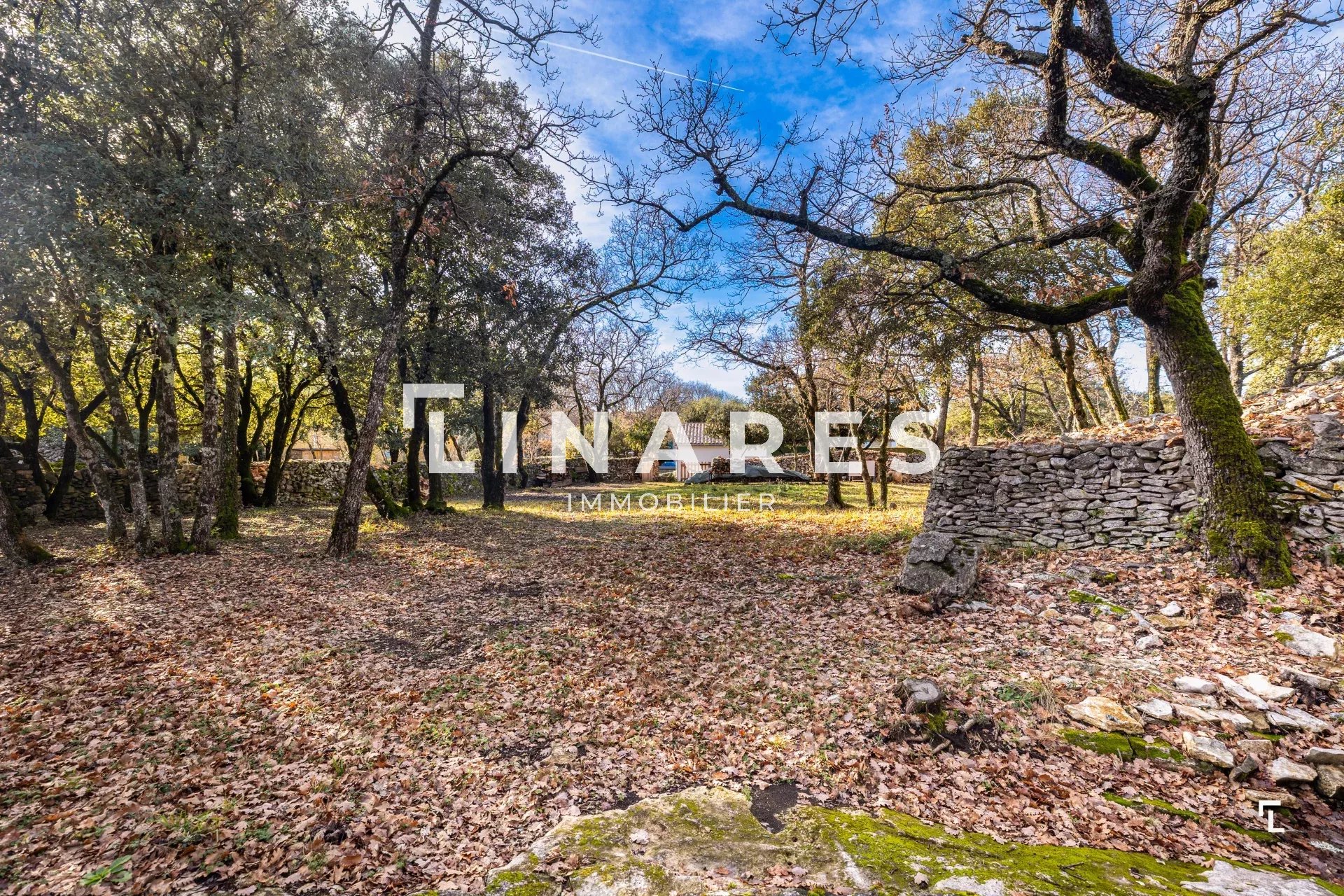 Photo 21 — LLINARES IMMOBILIER