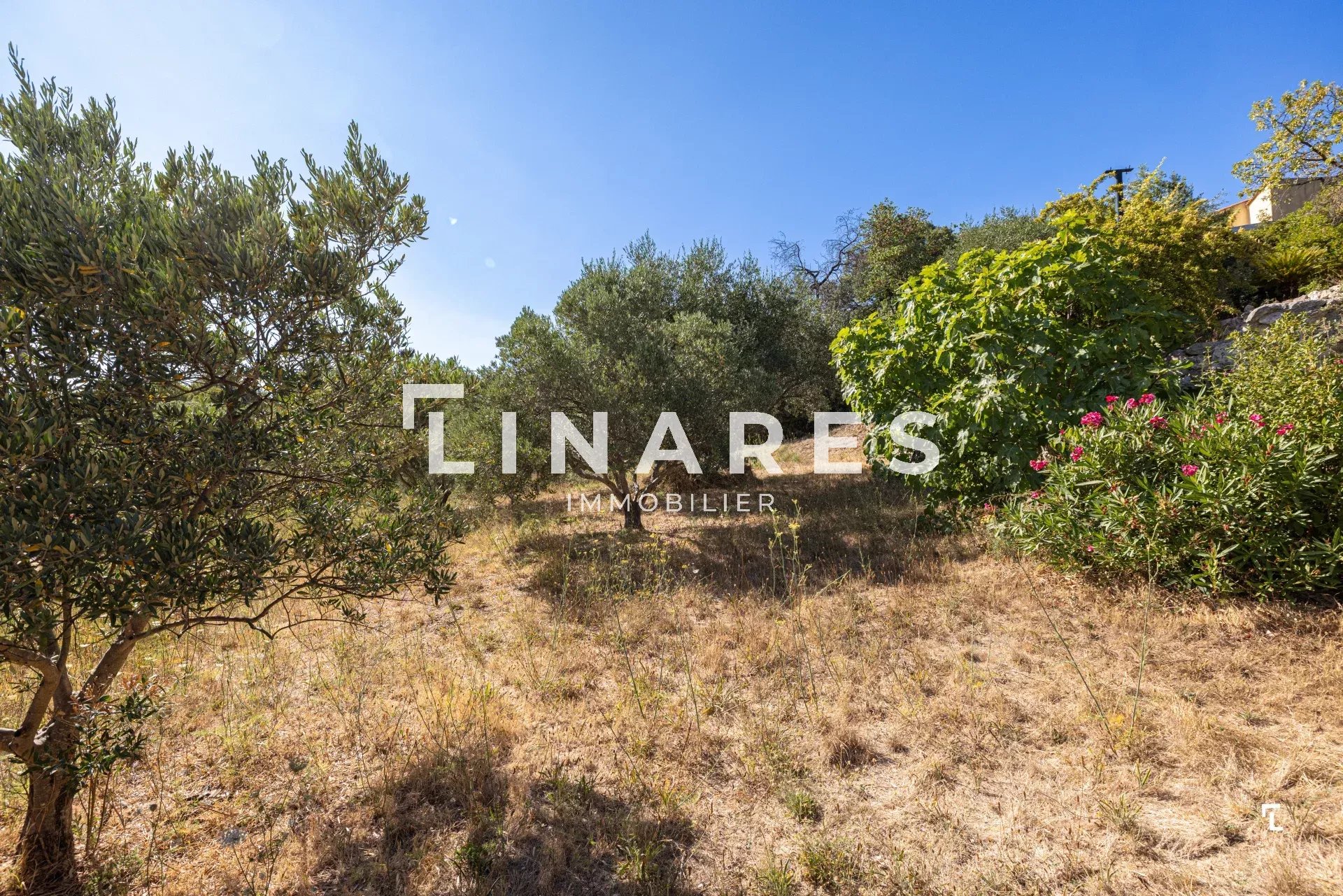 Photo 26 — LLINARES IMMOBILIER
