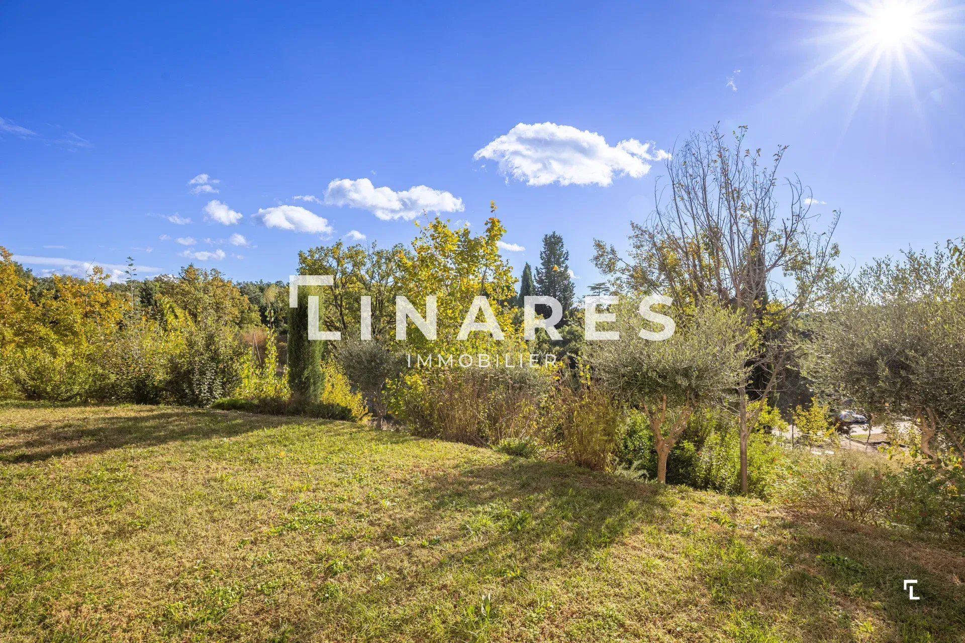Photo 6 — LLINARES IMMOBILIER