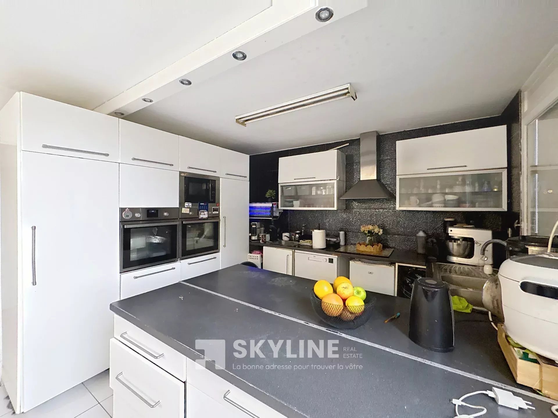 Photo 3 — SKYLINE REAL ESTATE