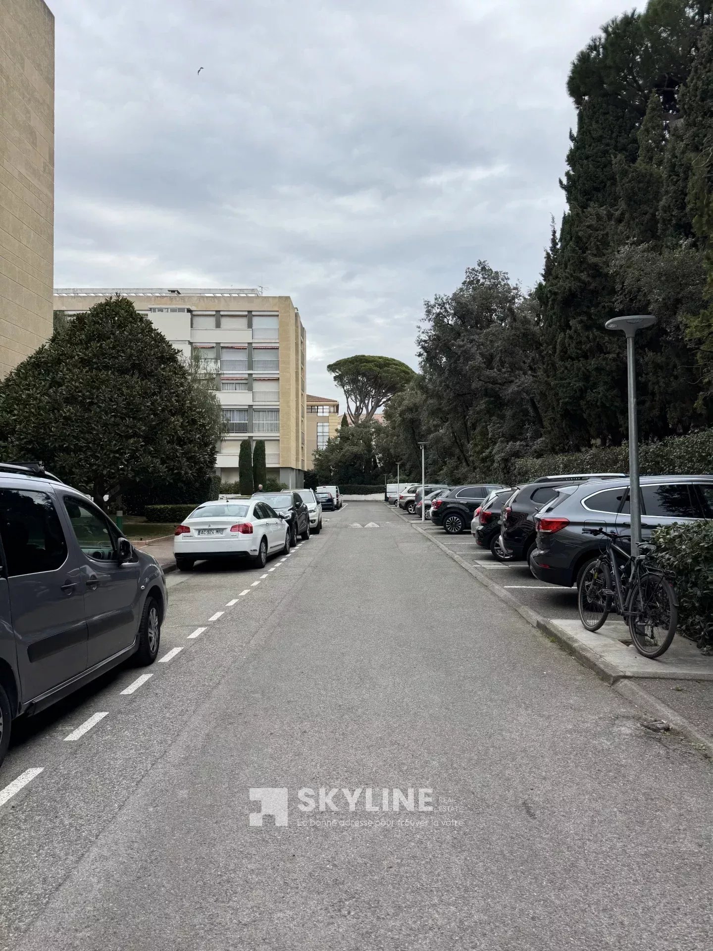 Photo 14 — SKYLINE REAL ESTATE