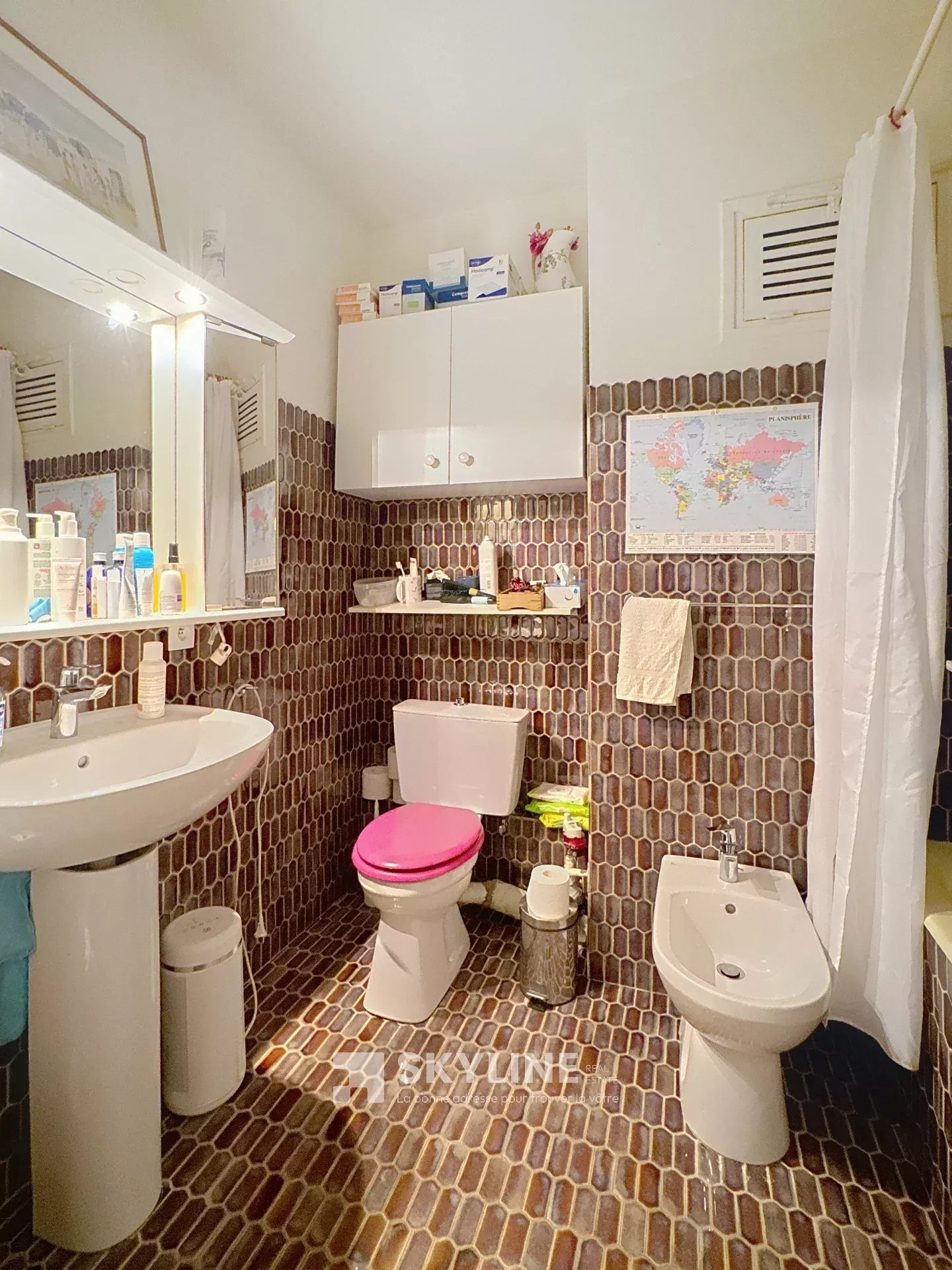 Photo 10 — SKYLINE REAL ESTATE