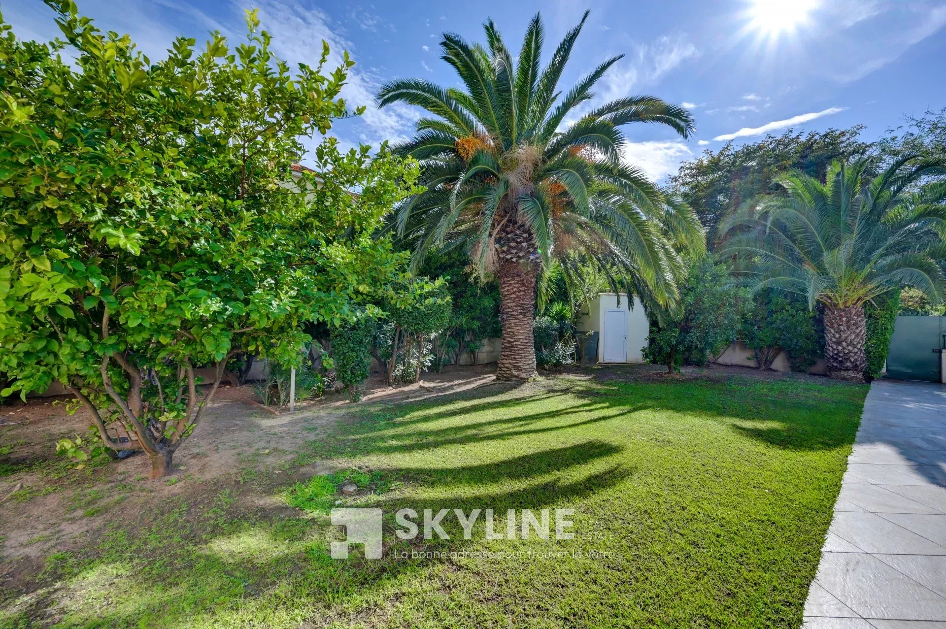 Photo 6 — SKYLINE REAL ESTATE