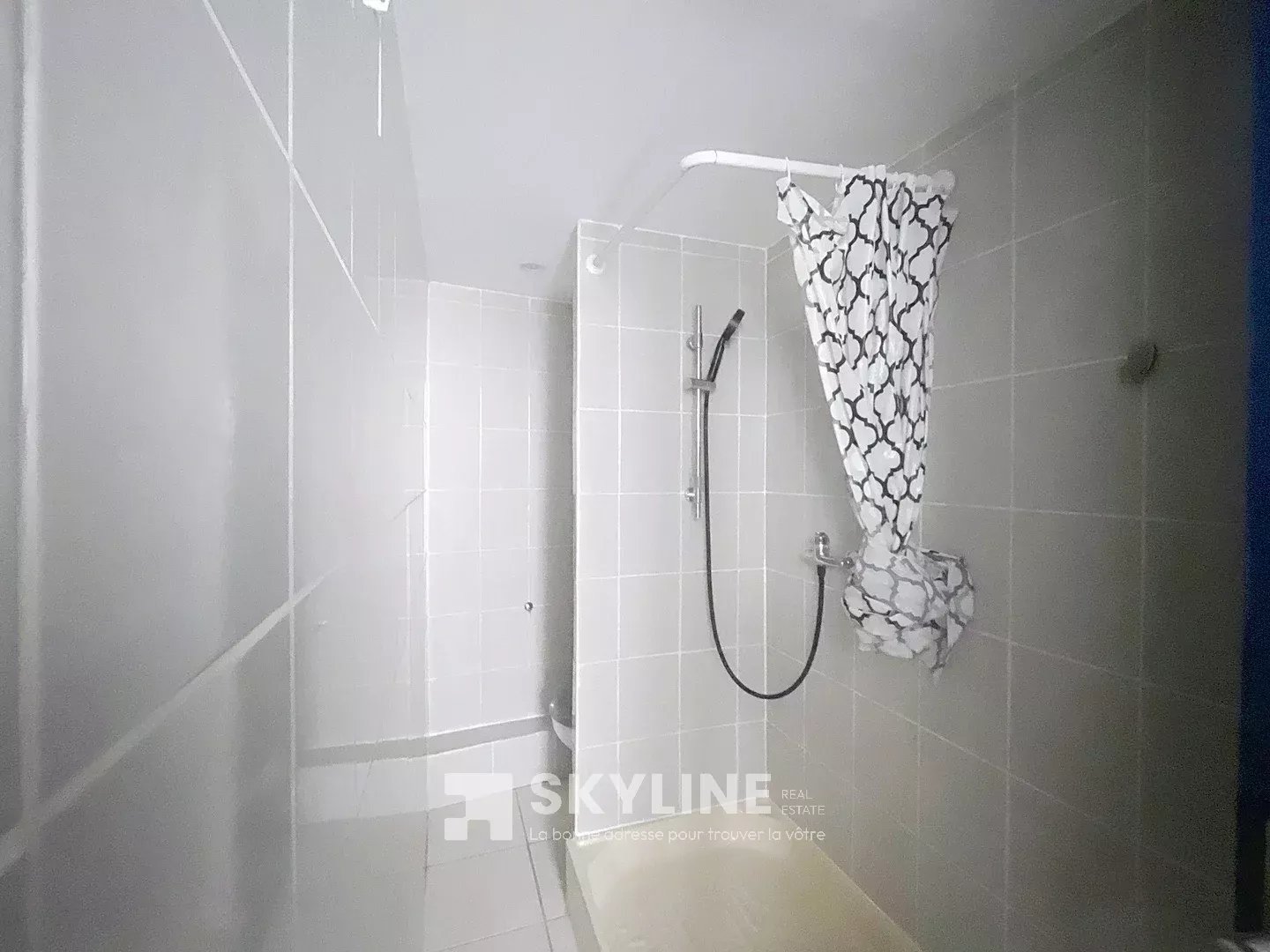 Photo 6 — SKYLINE REAL ESTATE