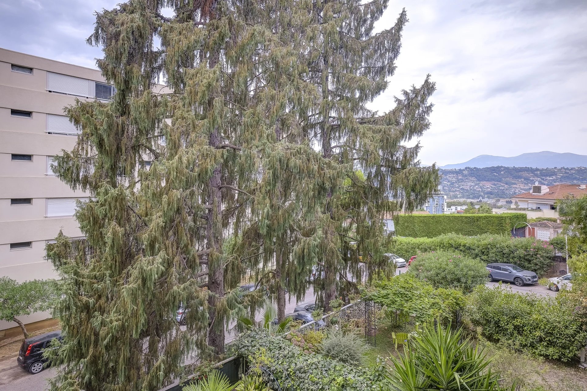 Photo 5 — SKYLINE REAL ESTATE