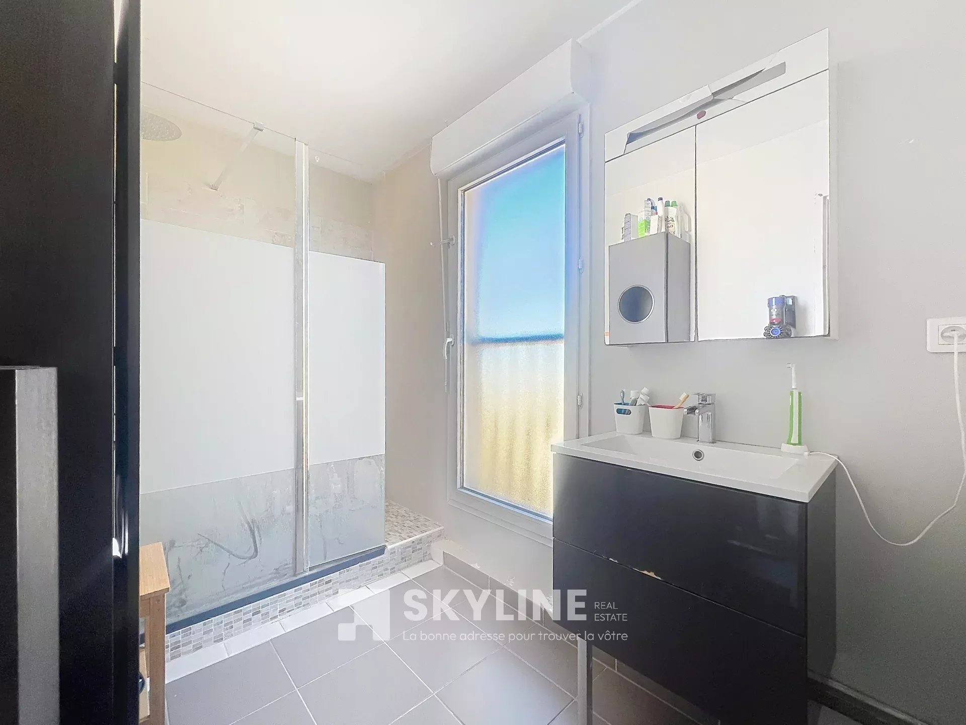 Photo 9 — SKYLINE REAL ESTATE