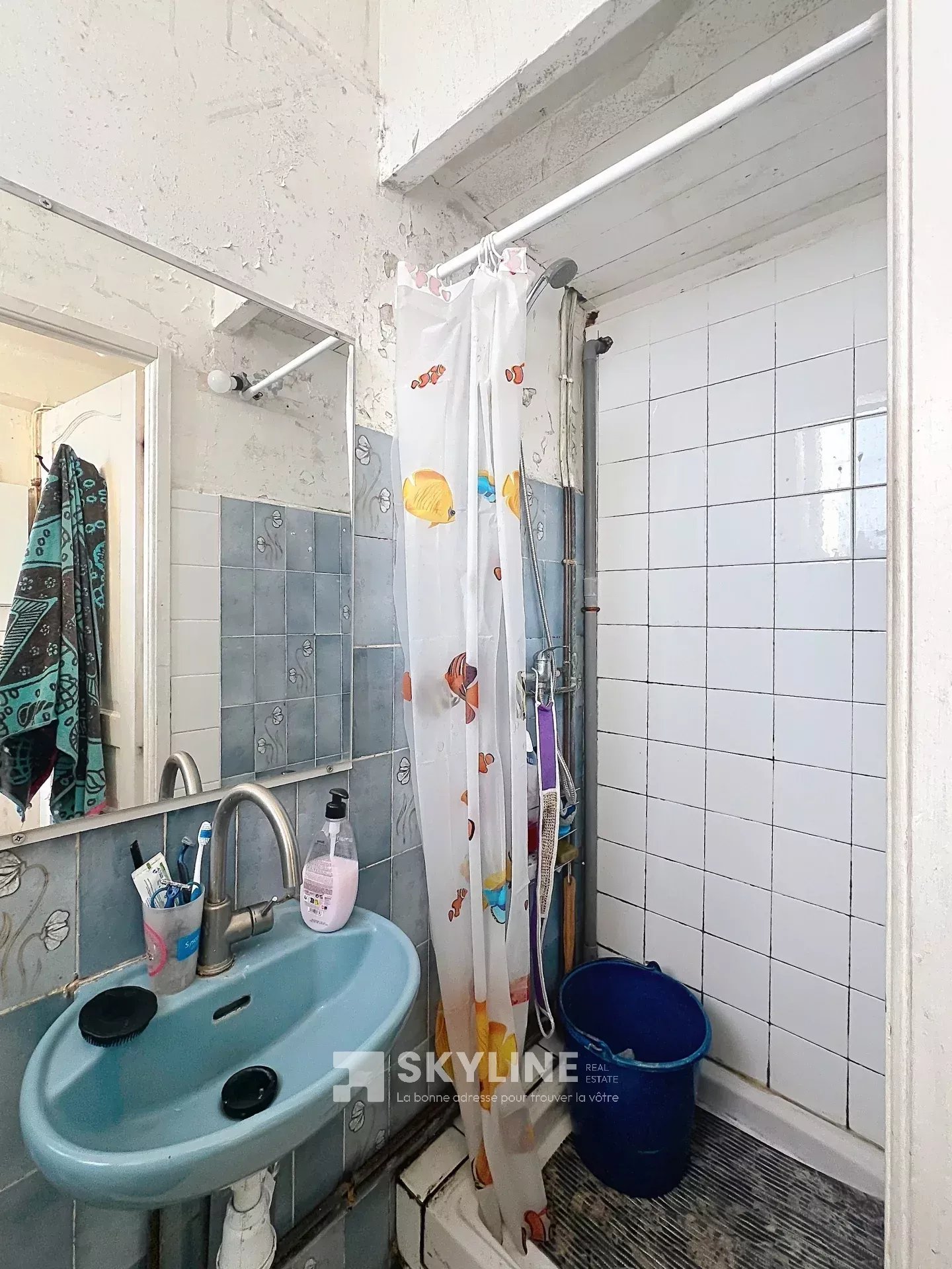 Photo 5 — SKYLINE REAL ESTATE