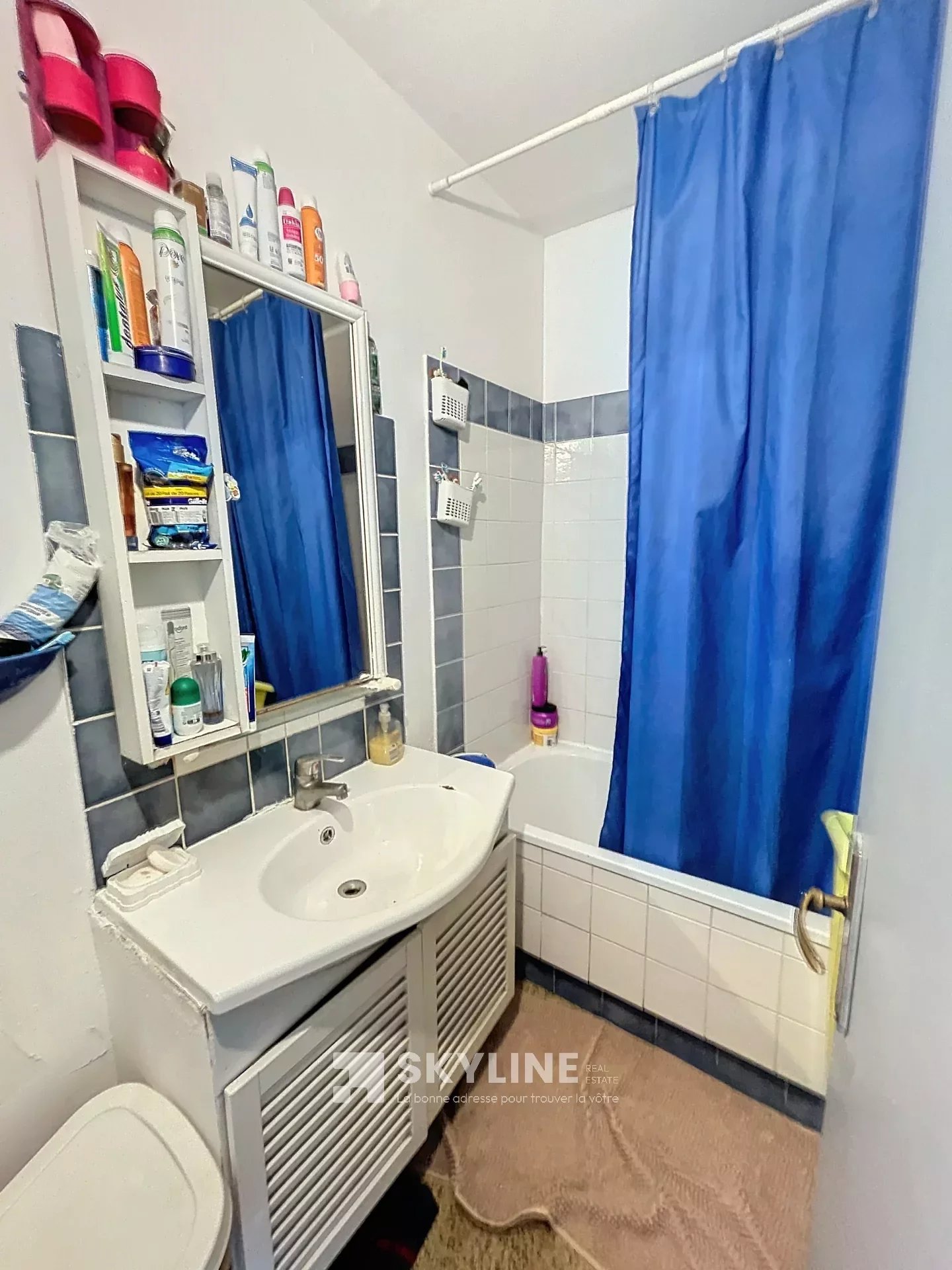 Photo 7 — SKYLINE REAL ESTATE