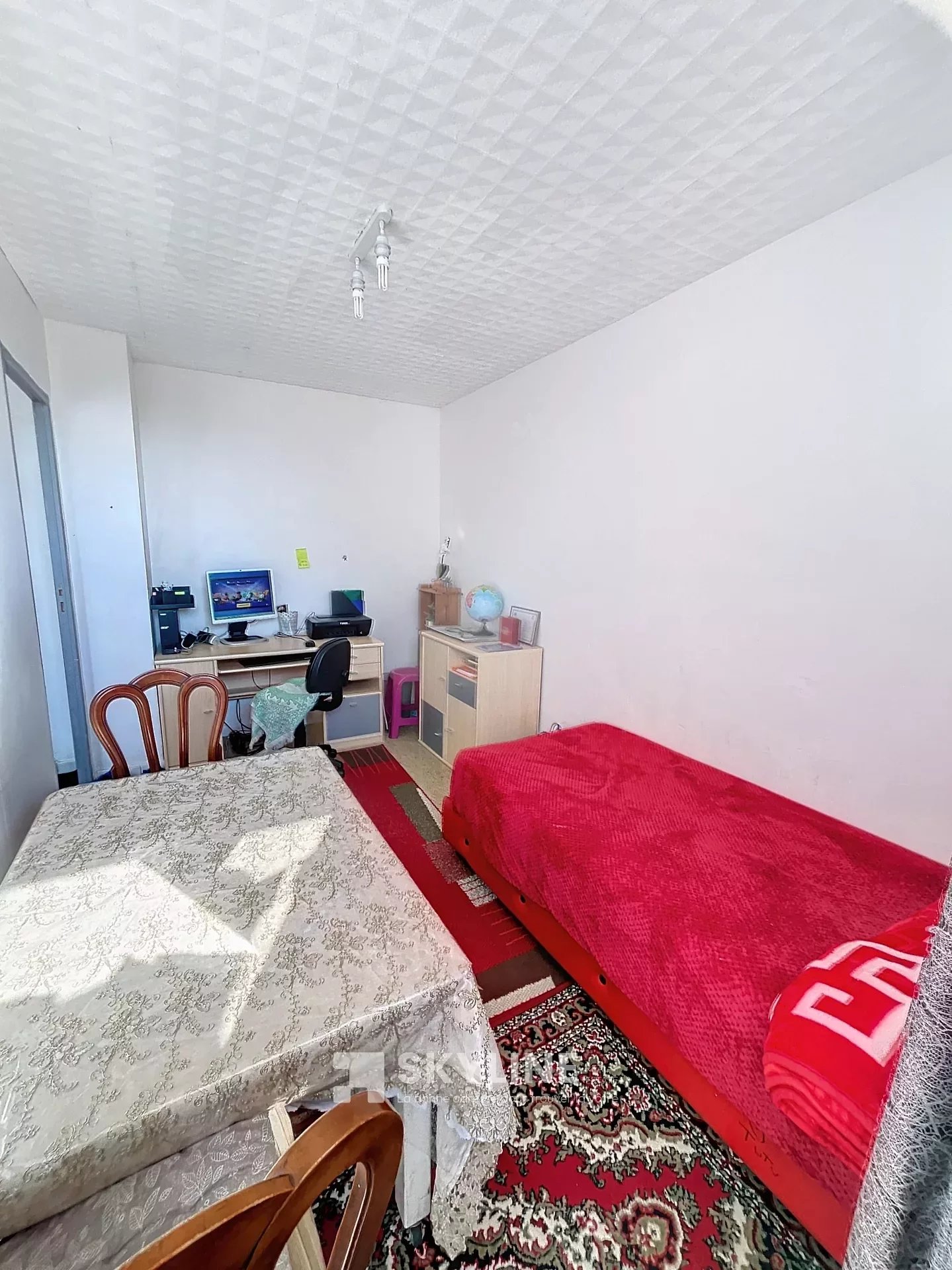 Photo 6 — SKYLINE REAL ESTATE