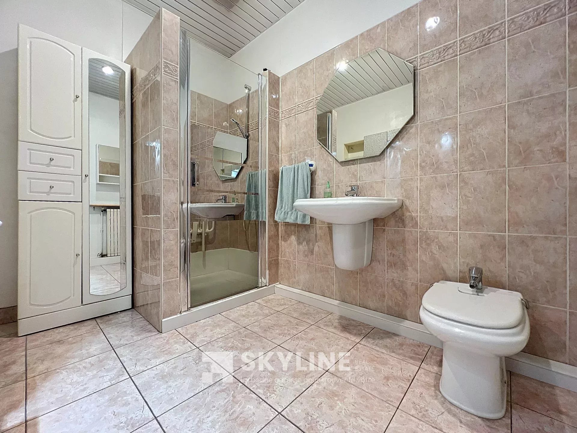 Photo 4 — SKYLINE REAL ESTATE