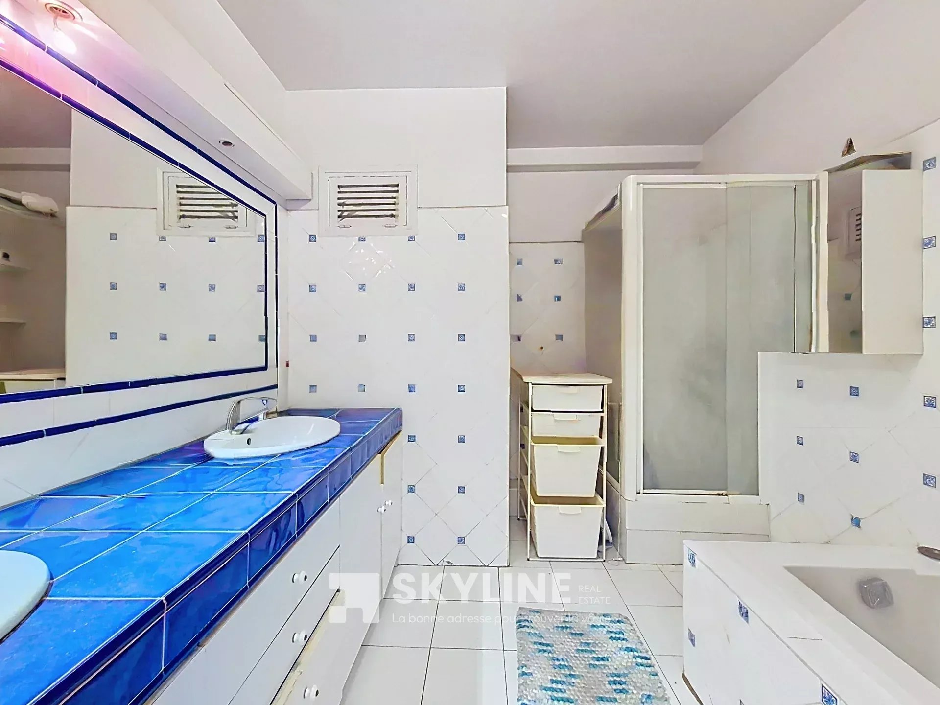 Photo 8 — SKYLINE REAL ESTATE