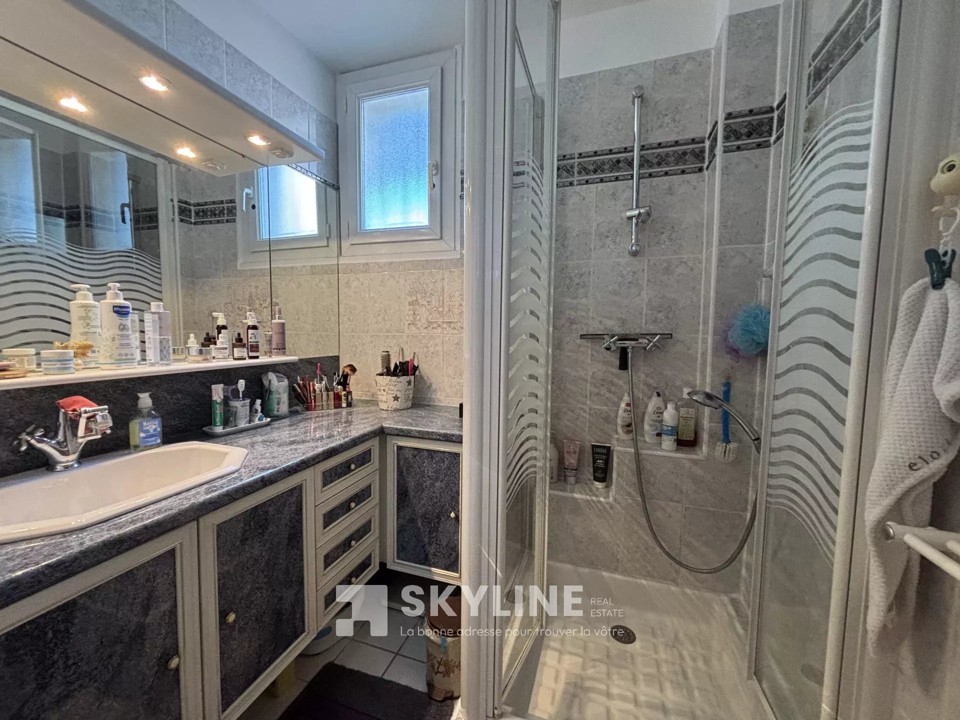 Photo 9 — SKYLINE REAL ESTATE