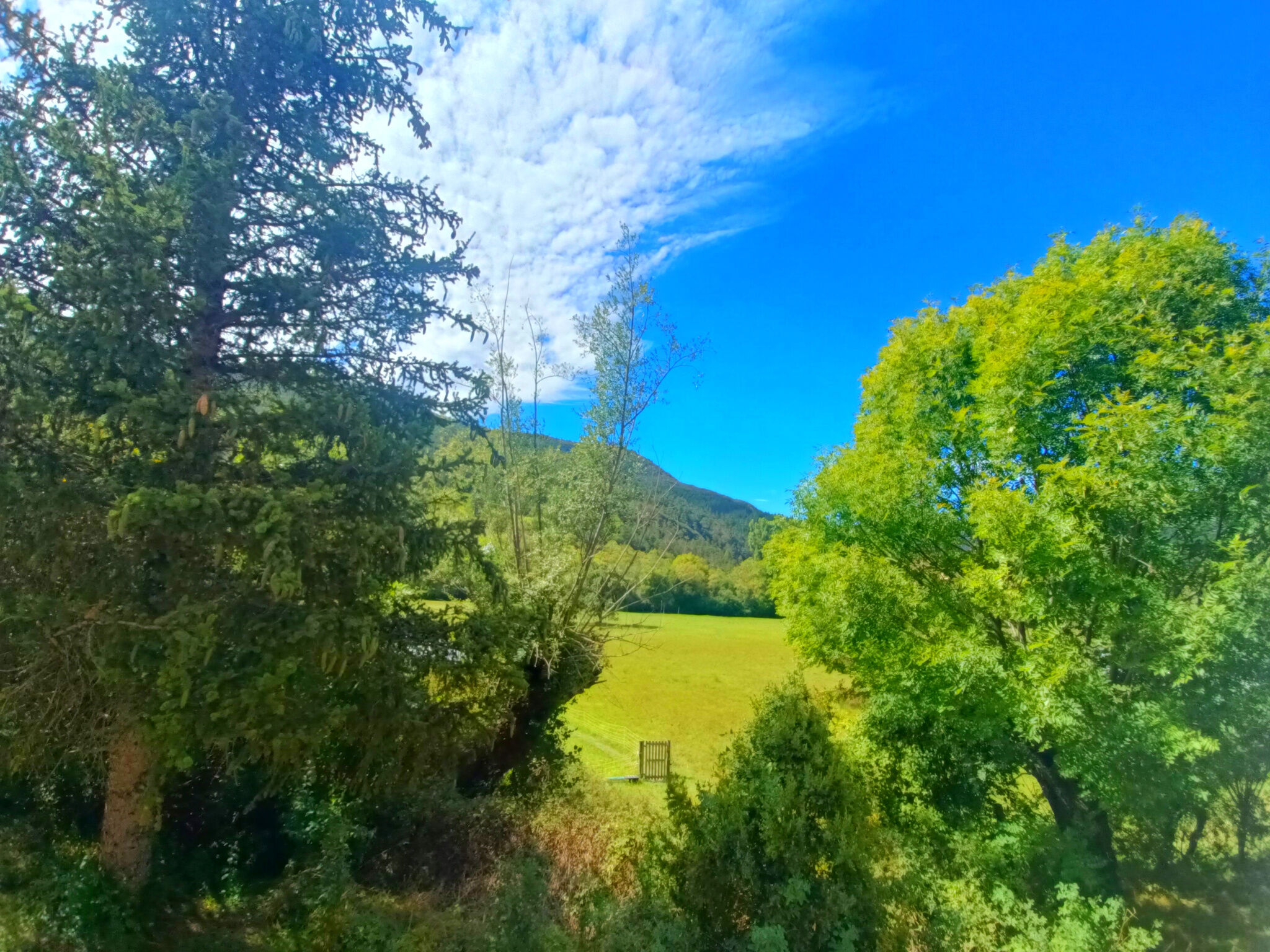 Photo 8 — VERDON IMMOBILIER