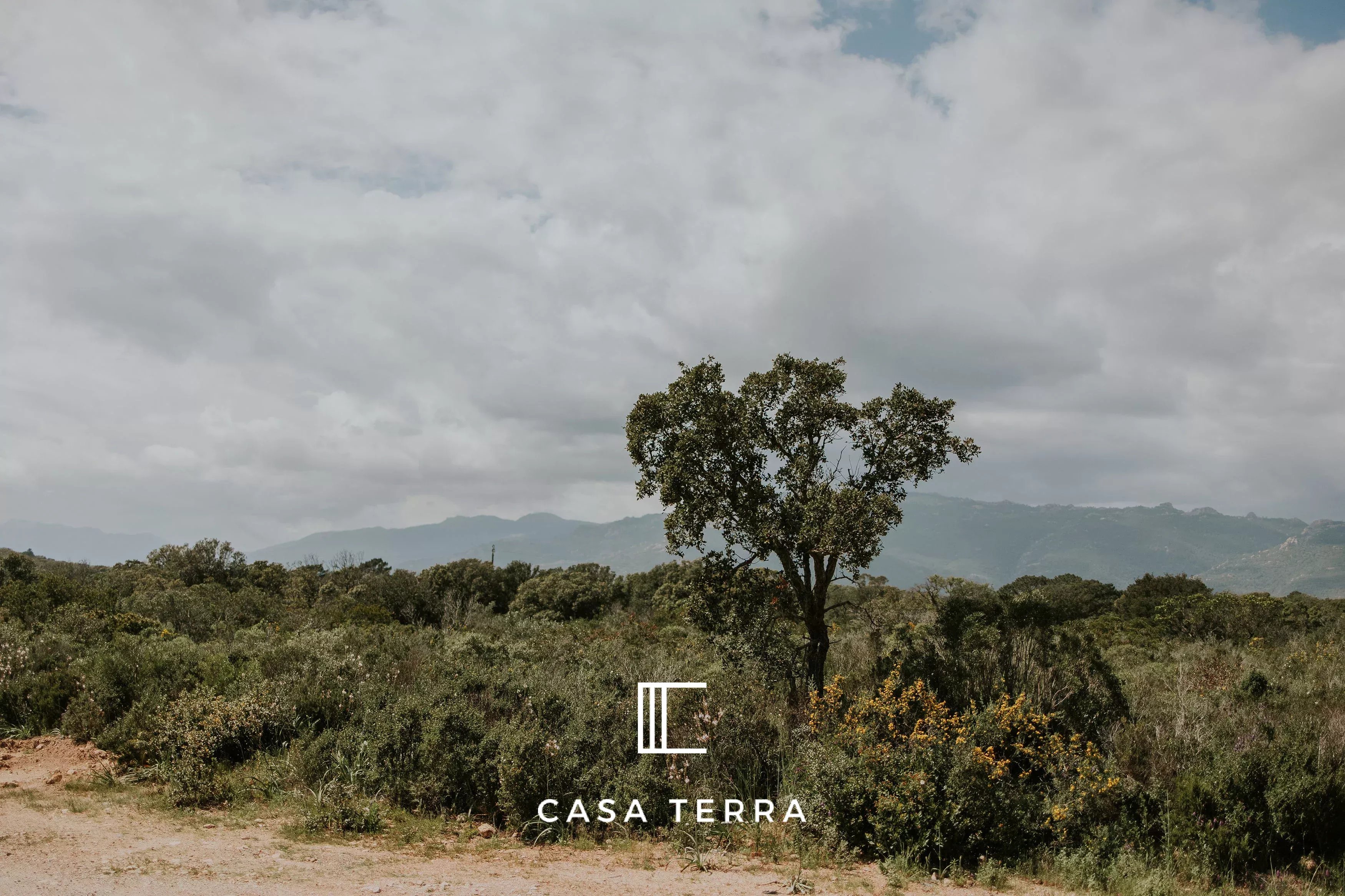 Photo 18 — Casa Terra Real Estate