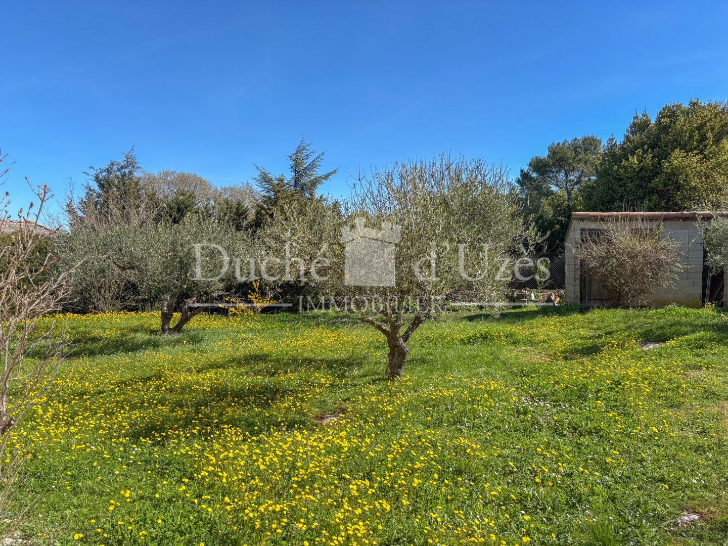 Photo 16 — Duché d?Uzès Immobilier