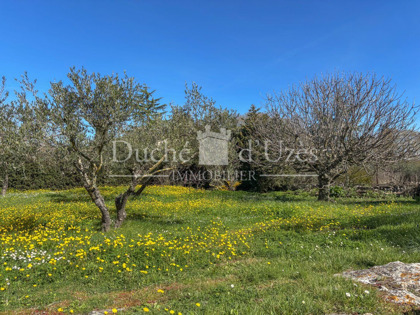 Photo 3 — Duché d?Uzès Immobilier