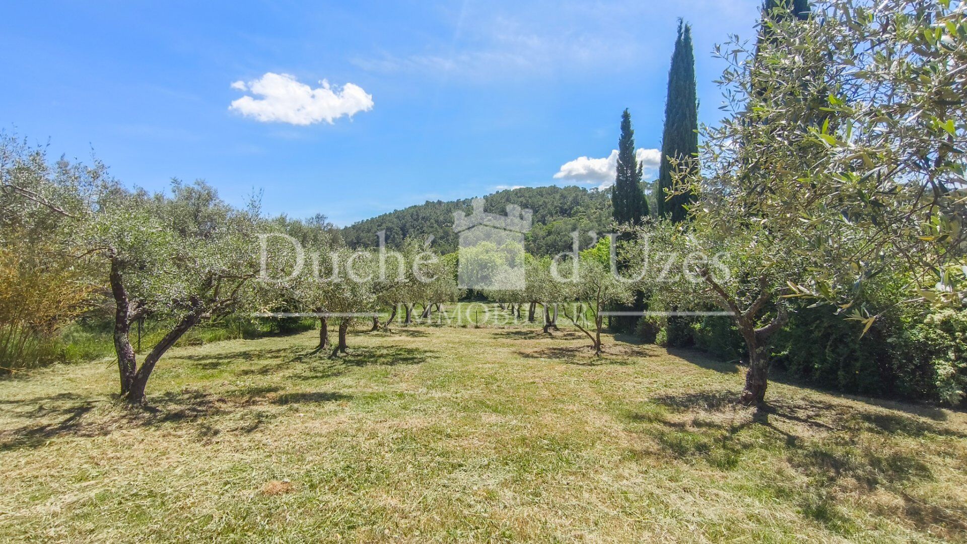 Photo 3 — Duché d?Uzès Immobilier