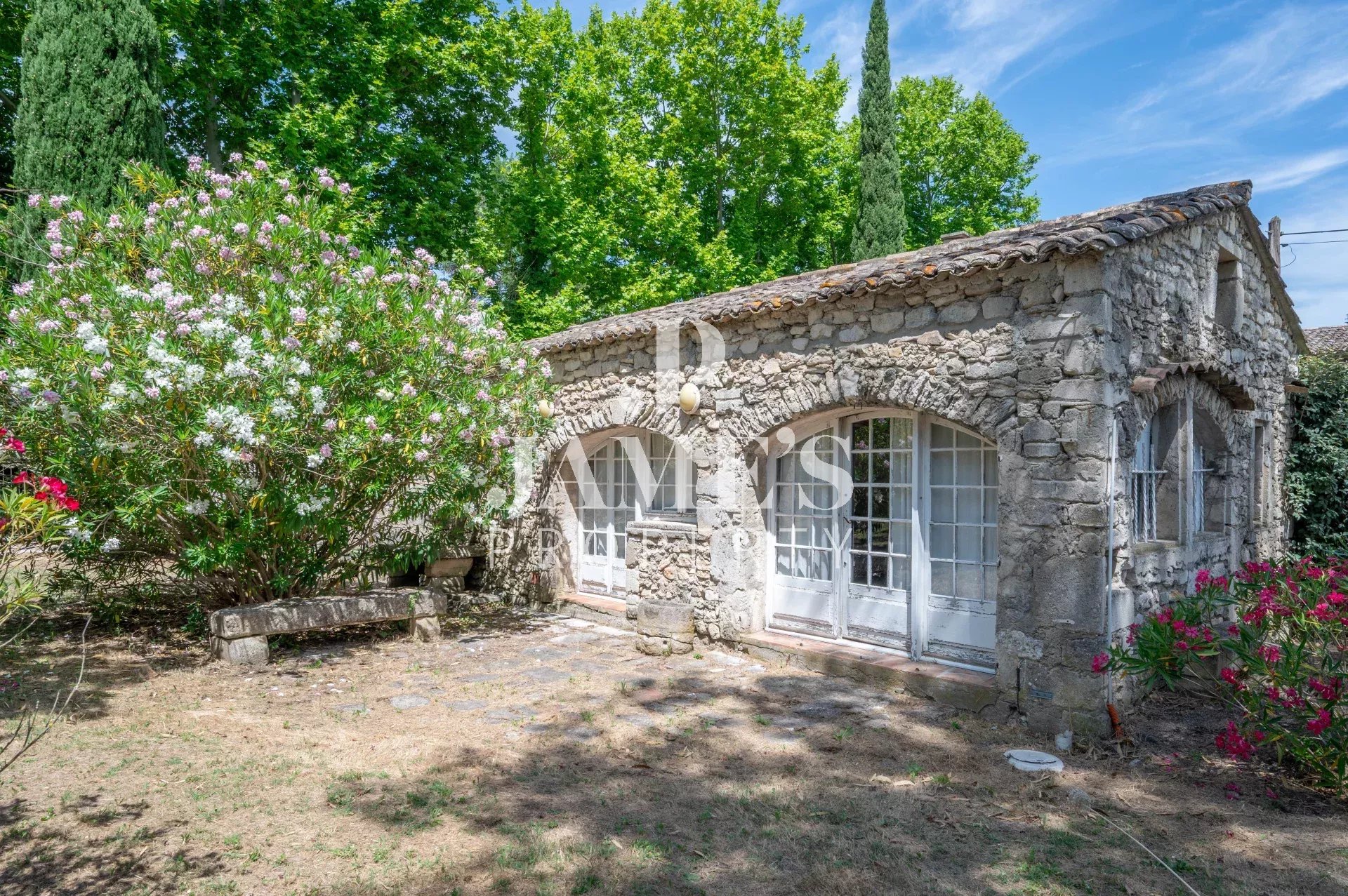 Photo 6 — JAME'S PROPERTY