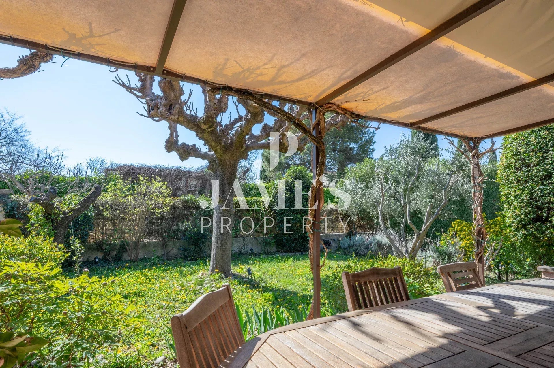 Photo 4 — JAME'S PROPERTY
