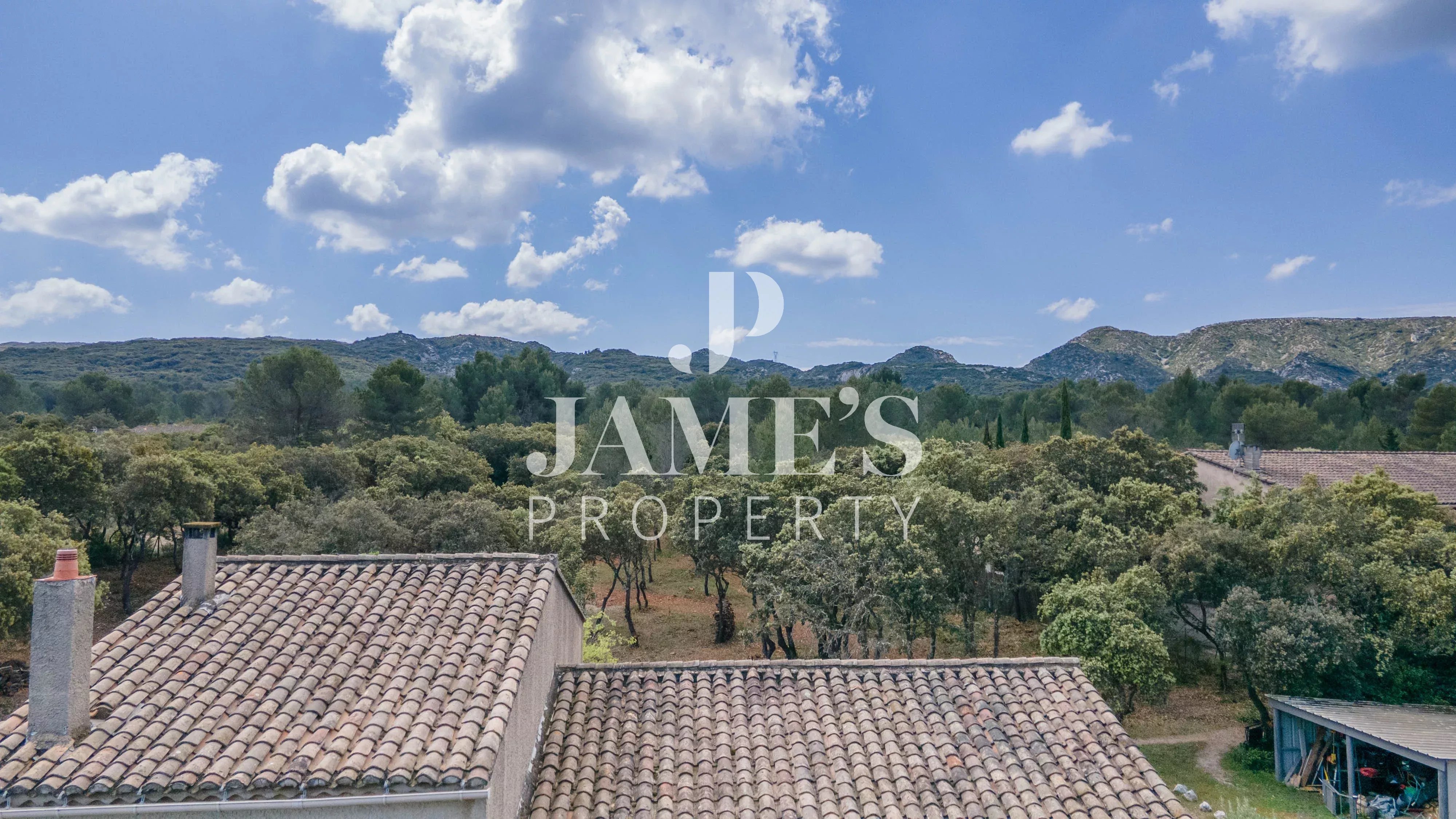 Photo 4 — JAME'S PROPERTY