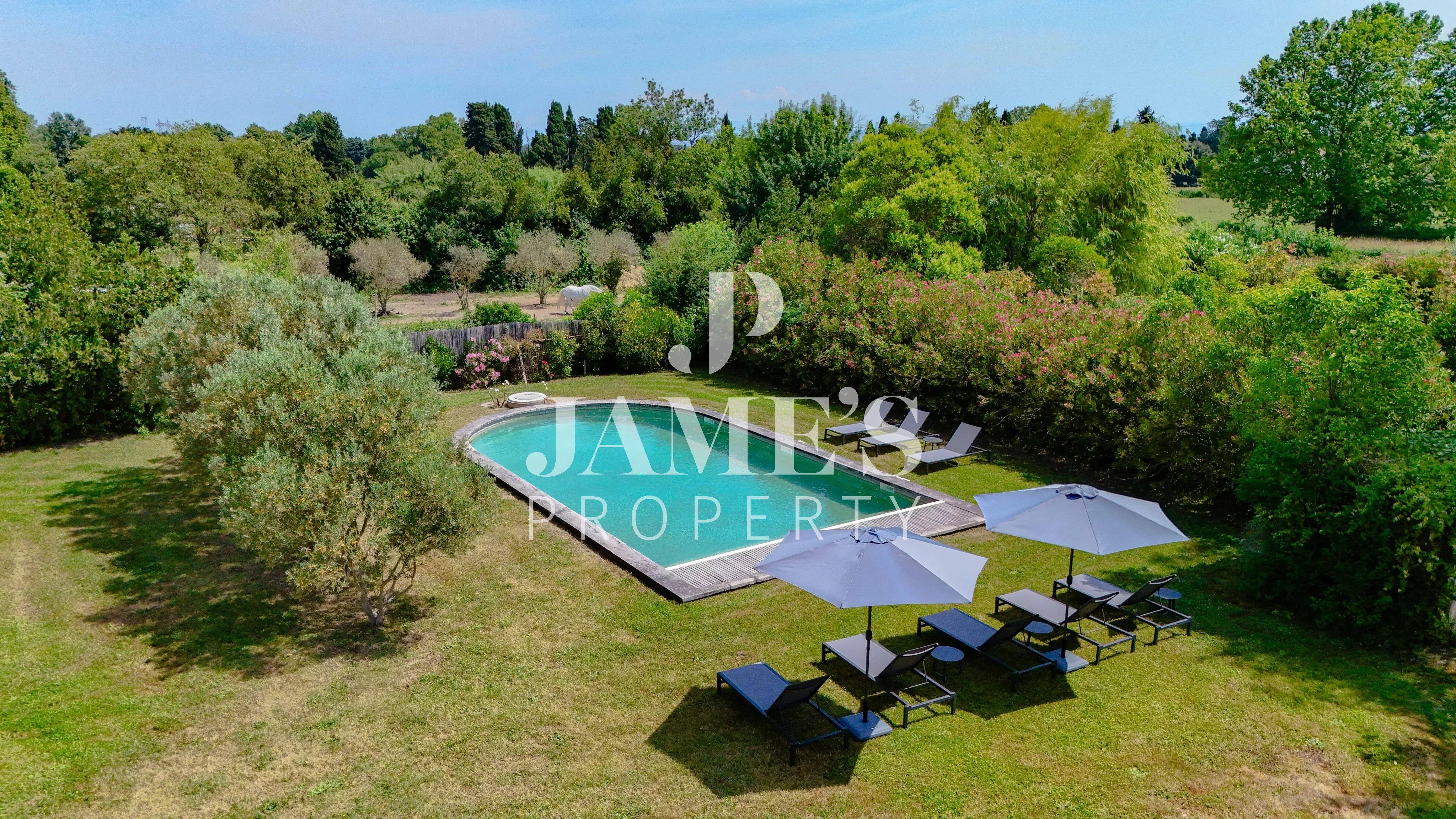 Photo 28 — JAME'S PROPERTY