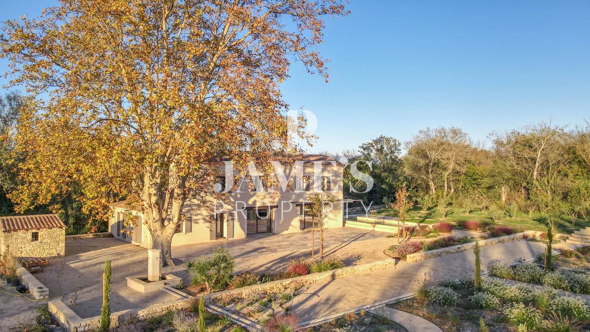Photo 5 — JAME'S PROPERTY