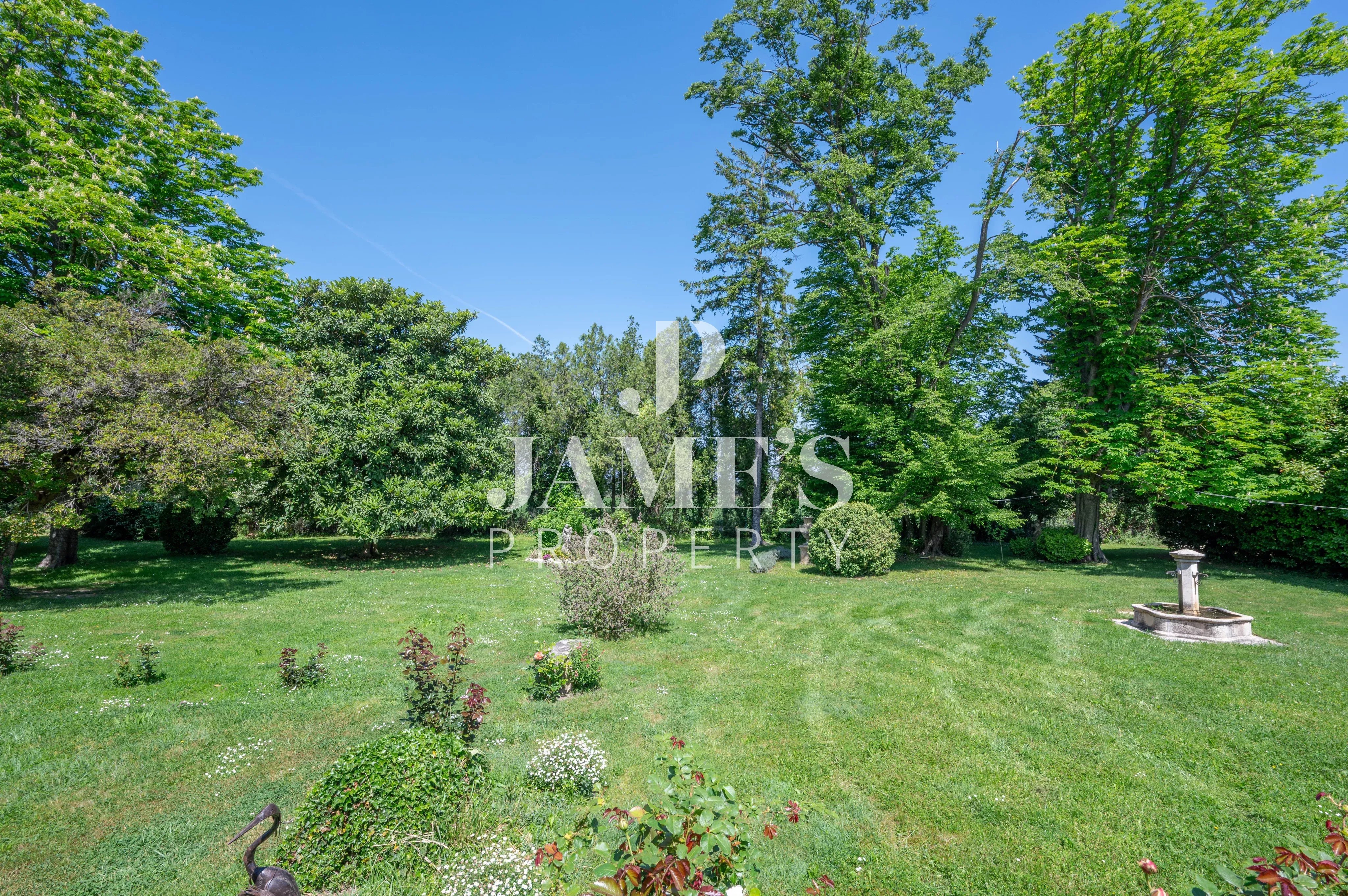 Photo 4 — JAME'S PROPERTY