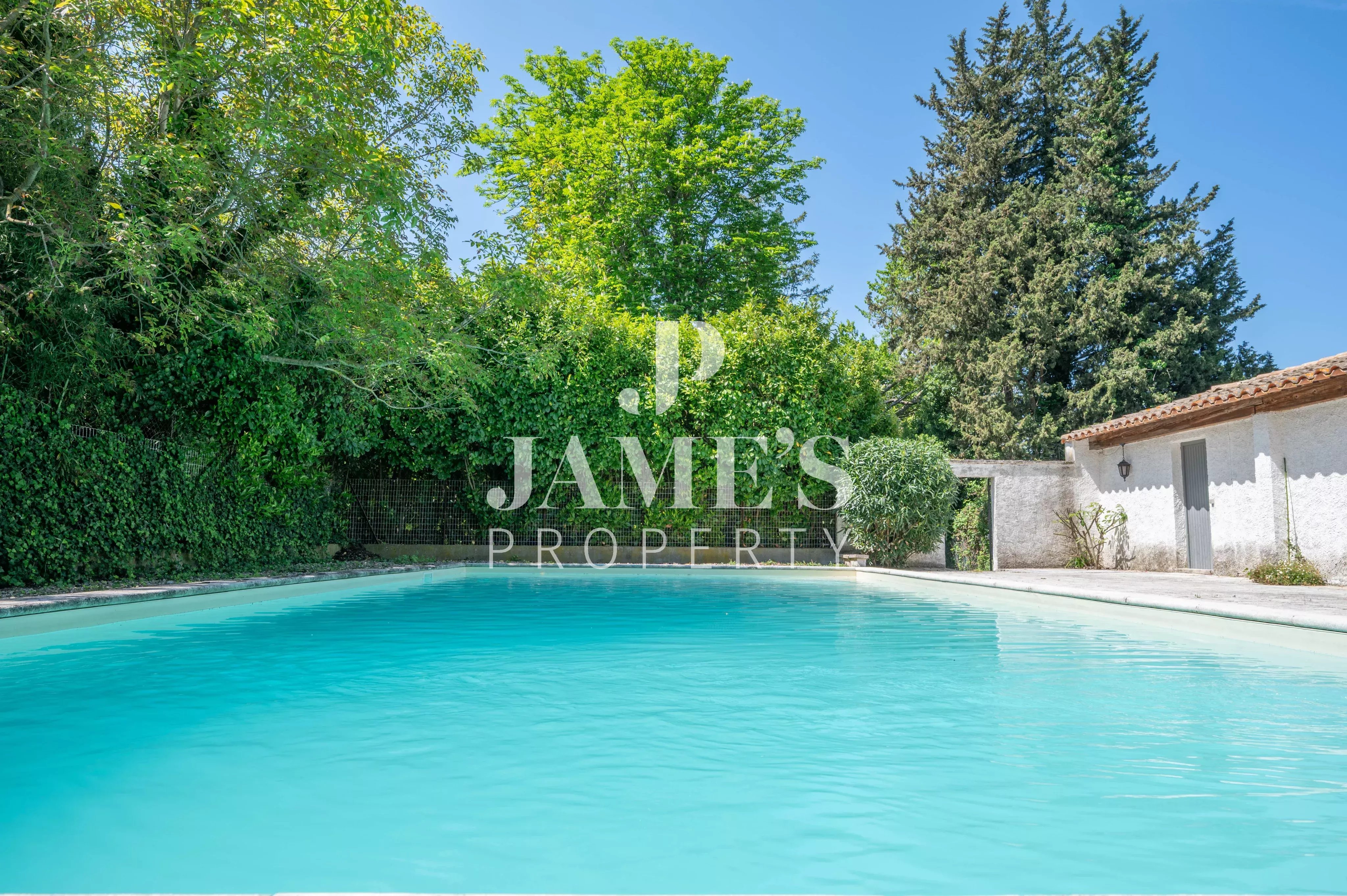 Photo 5 — JAME'S PROPERTY
