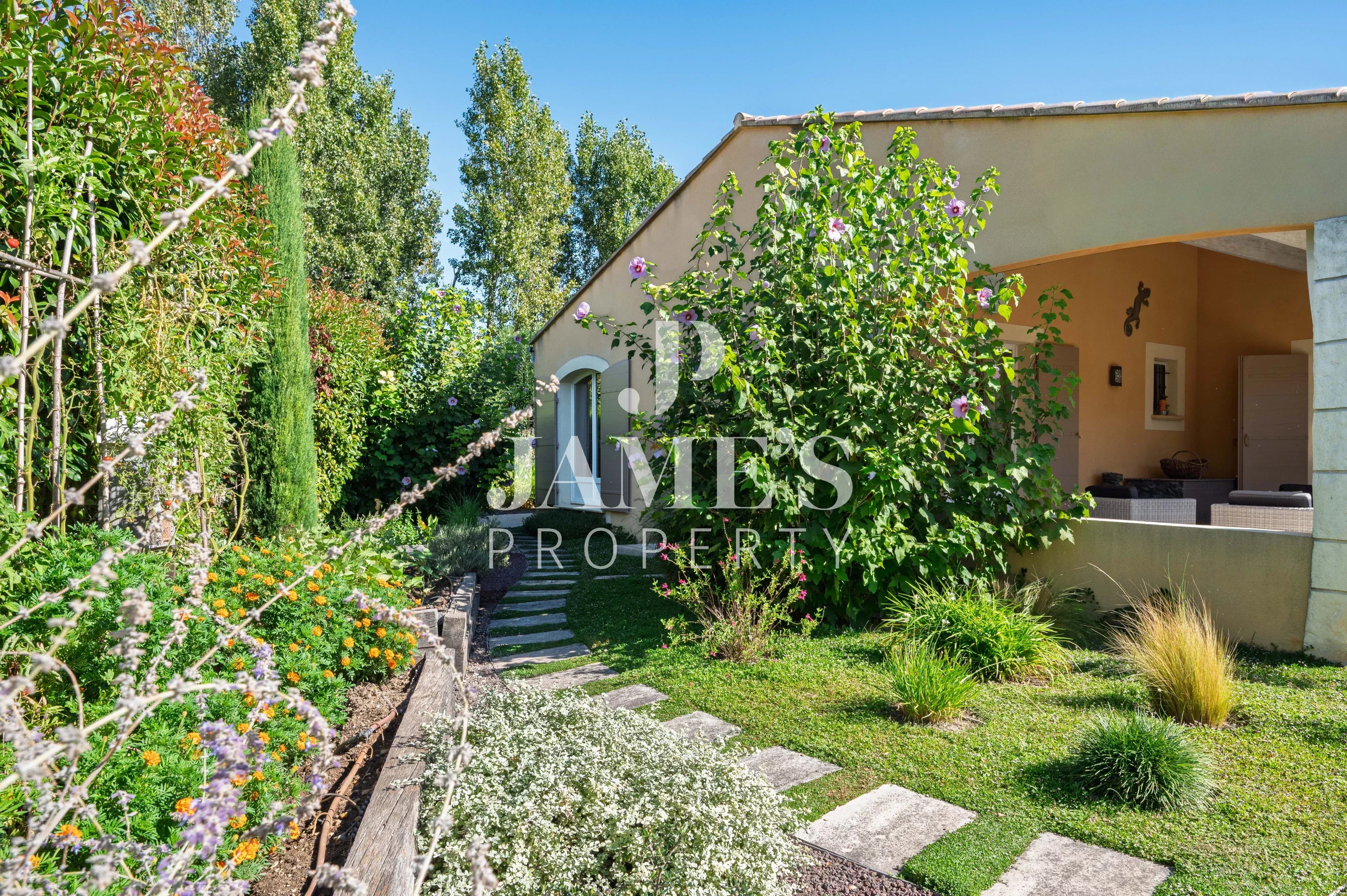 Photo 8 — JAME'S PROPERTY