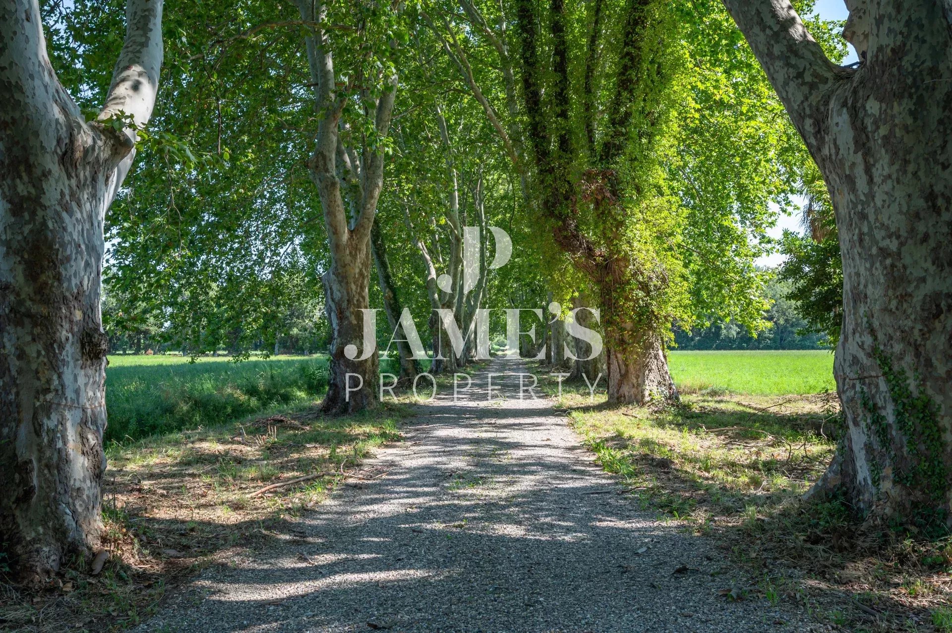 Photo 8 — JAME'S PROPERTY