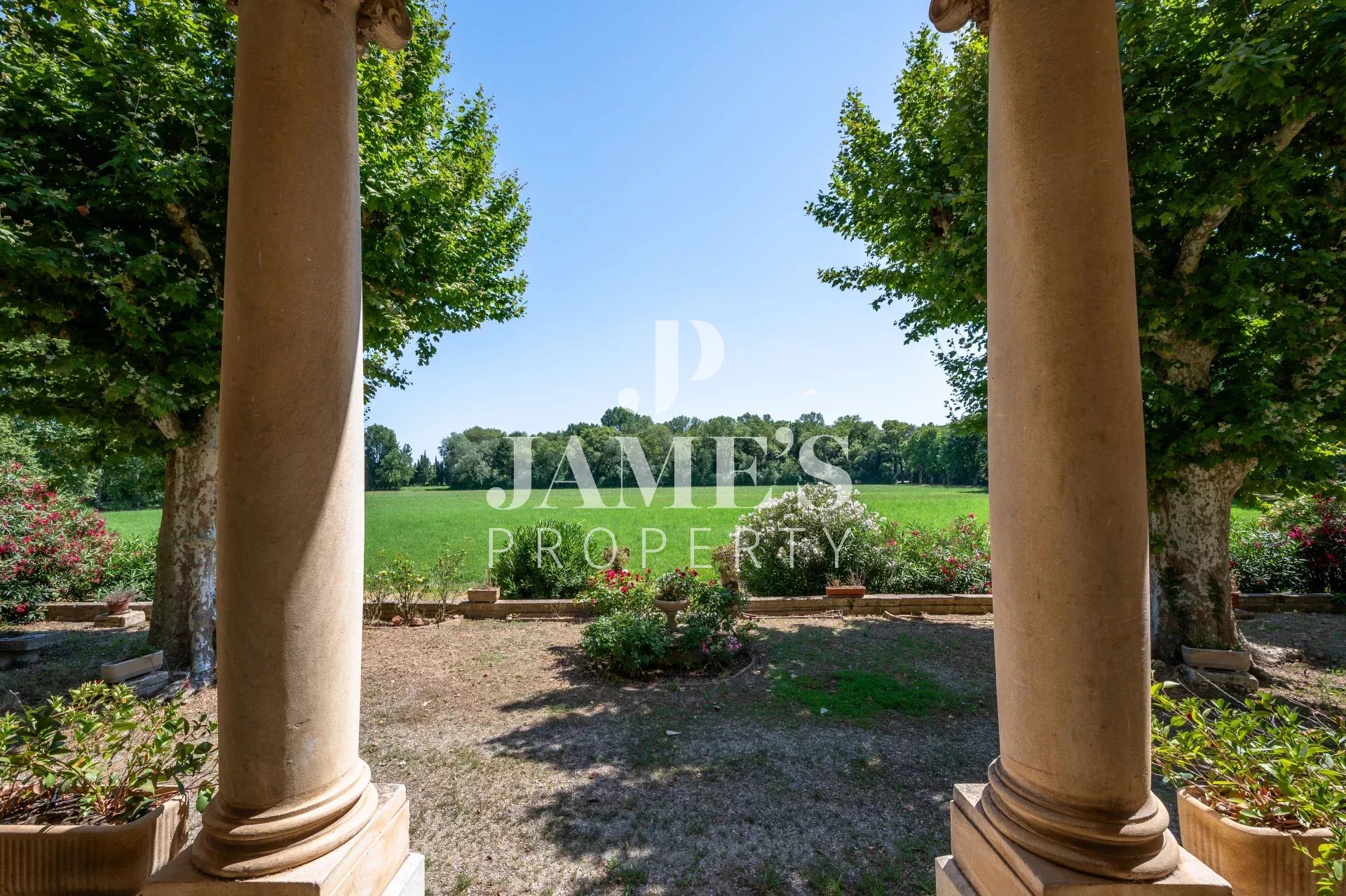 Photo 7 — JAME'S PROPERTY