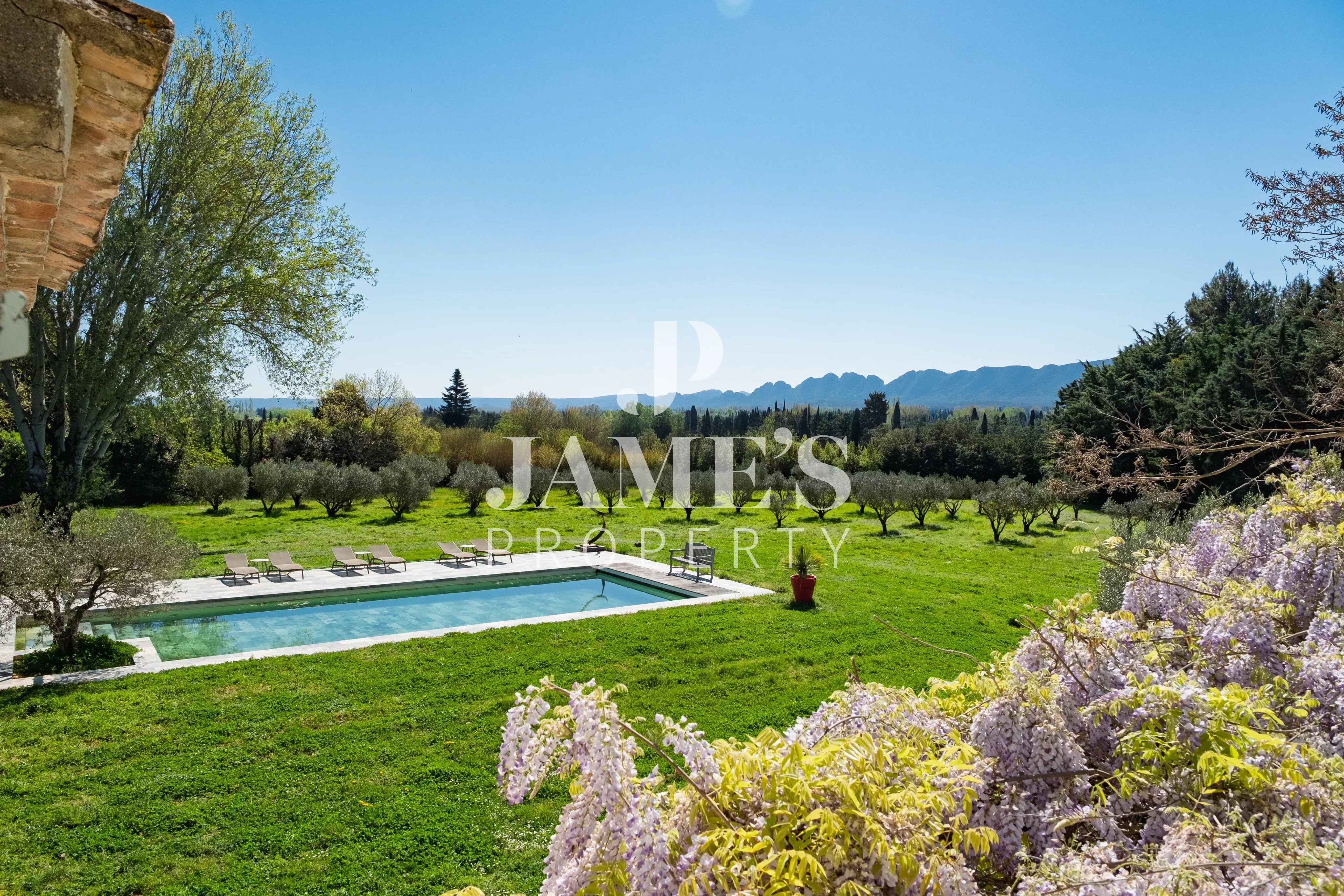Photo 3 — JAME'S PROPERTY