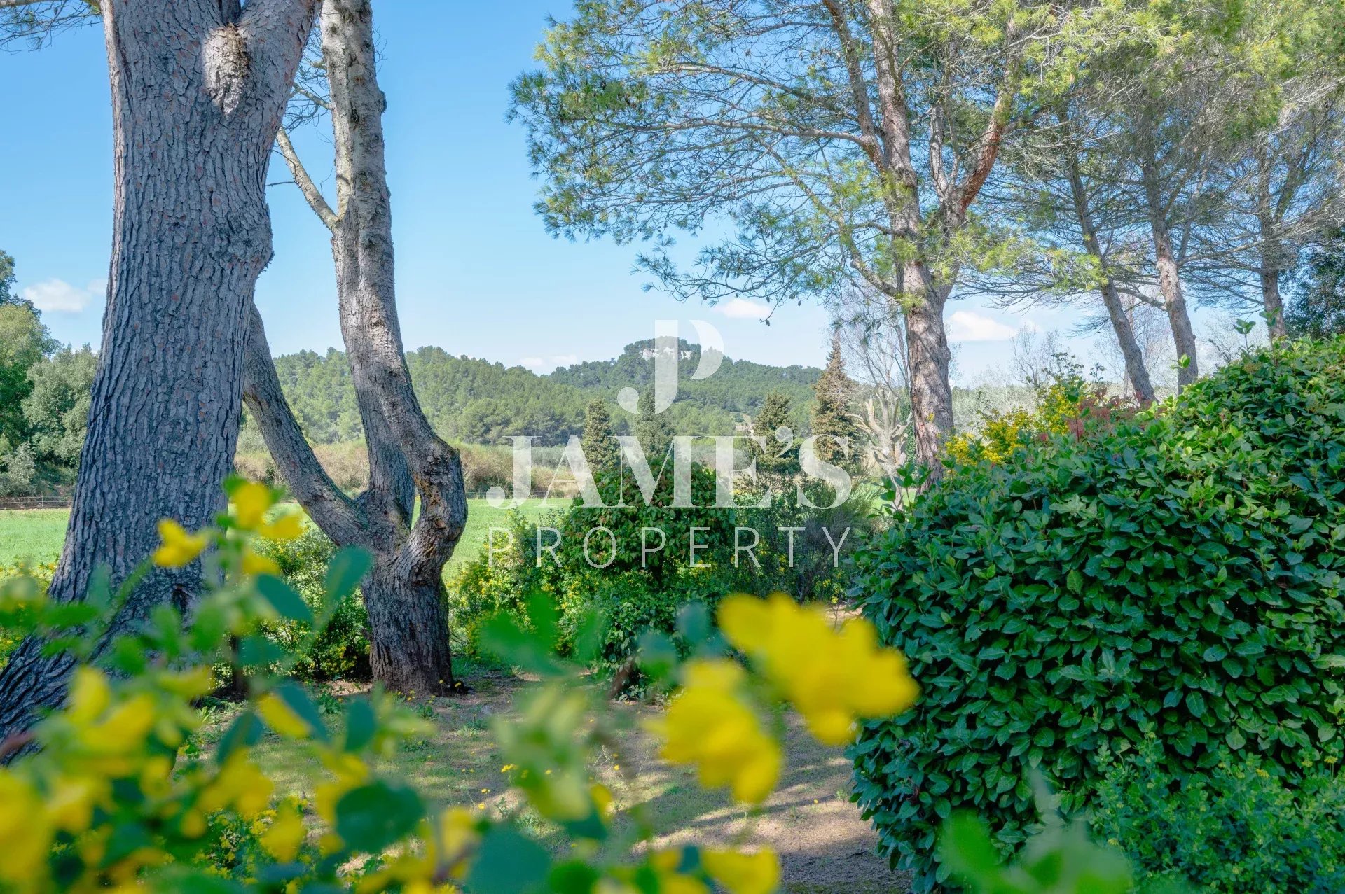 Photo 11 — JAME'S PROPERTY