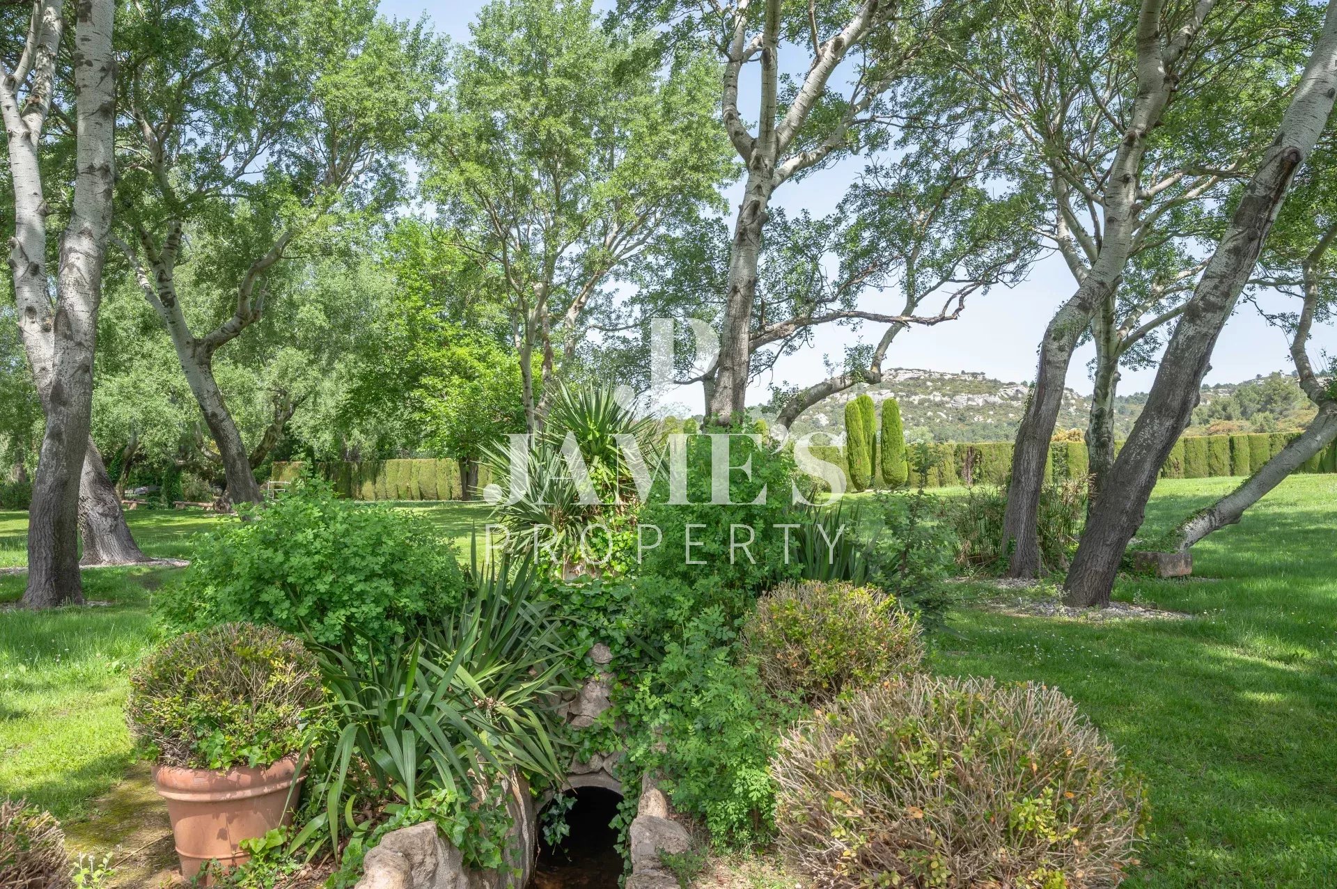Photo 13 — JAME'S PROPERTY