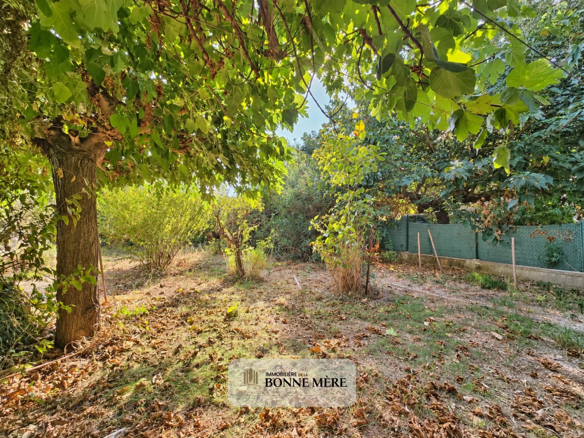 Photo 5 — L'IMMOBILIERE DE LA BONNE MERE