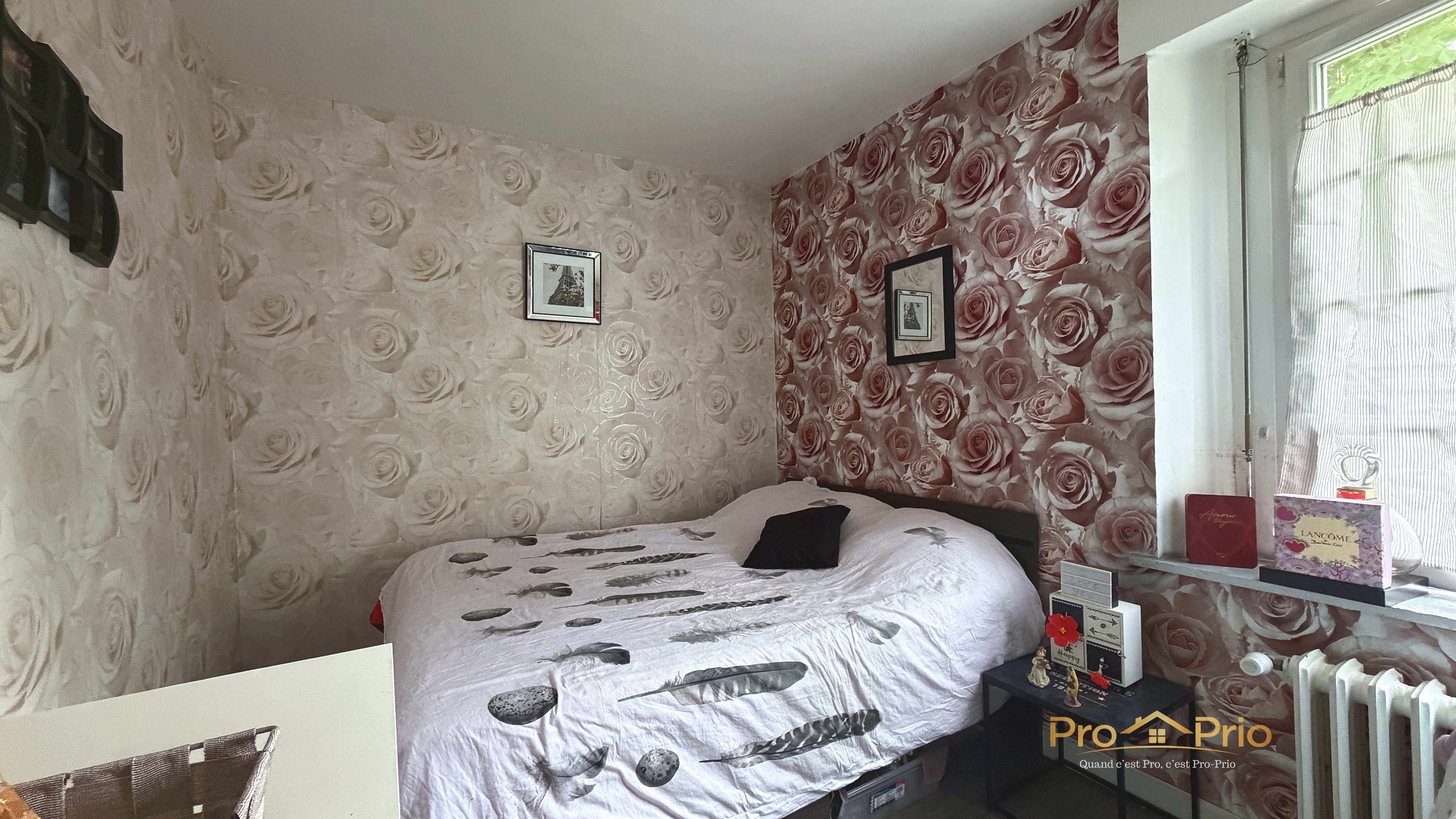 Photo 6 — Pro-Prio
