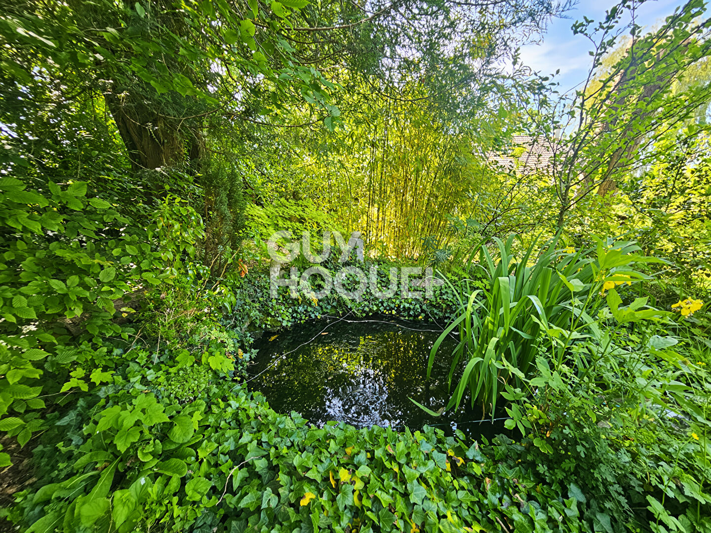 Photo 4 — Guy Hoquet Fontenay Trésigny