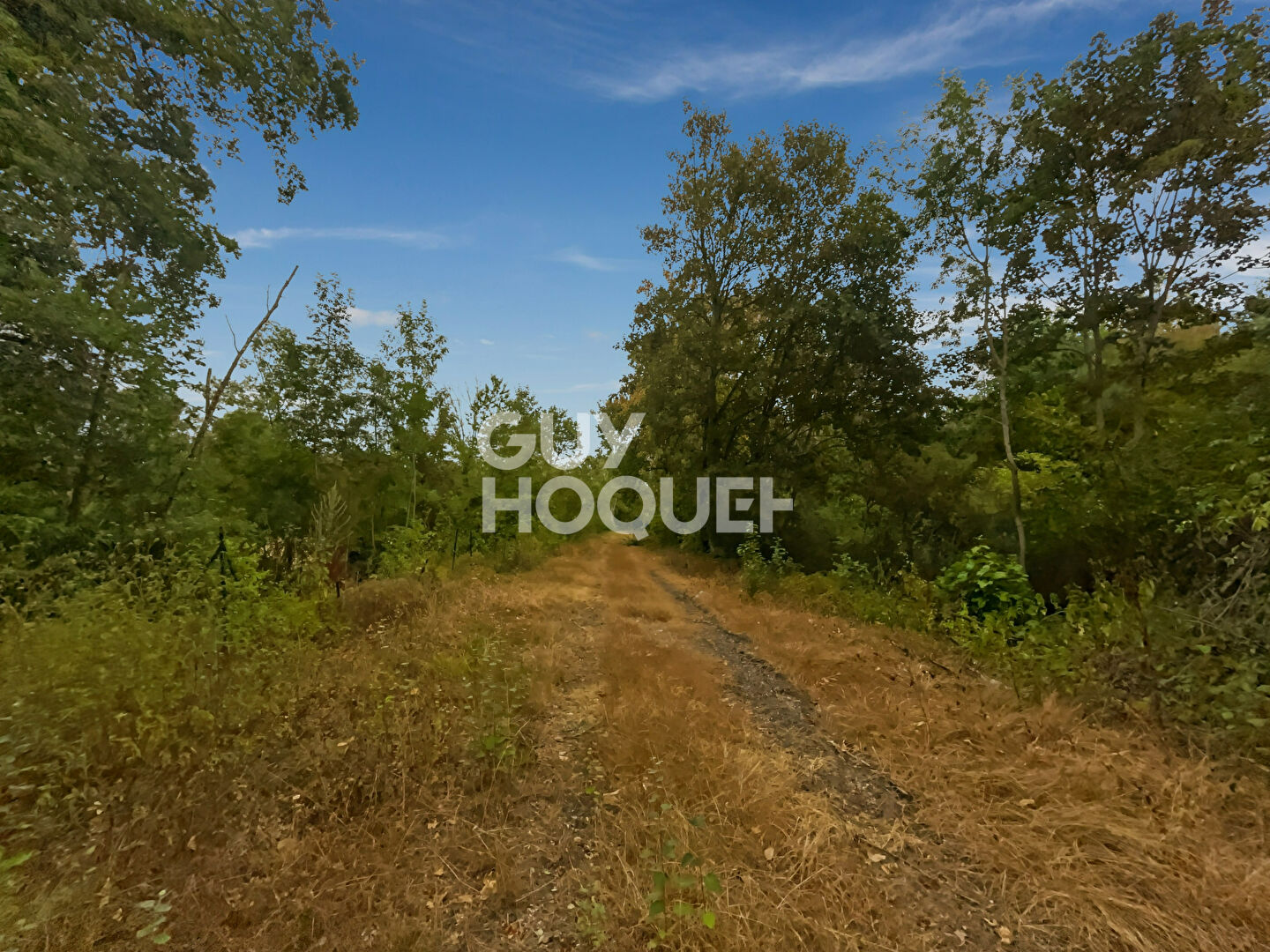 Photo 11 — Guy Hoquet Fontenay Trésigny