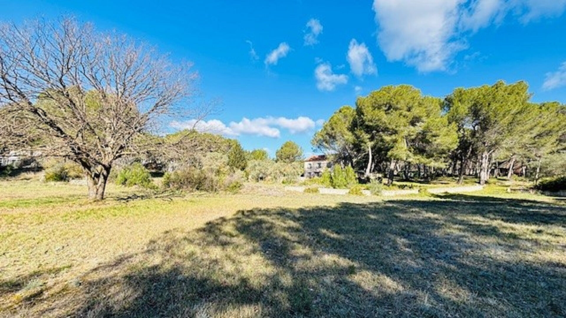 Photo 4 — Votre maison Prestige