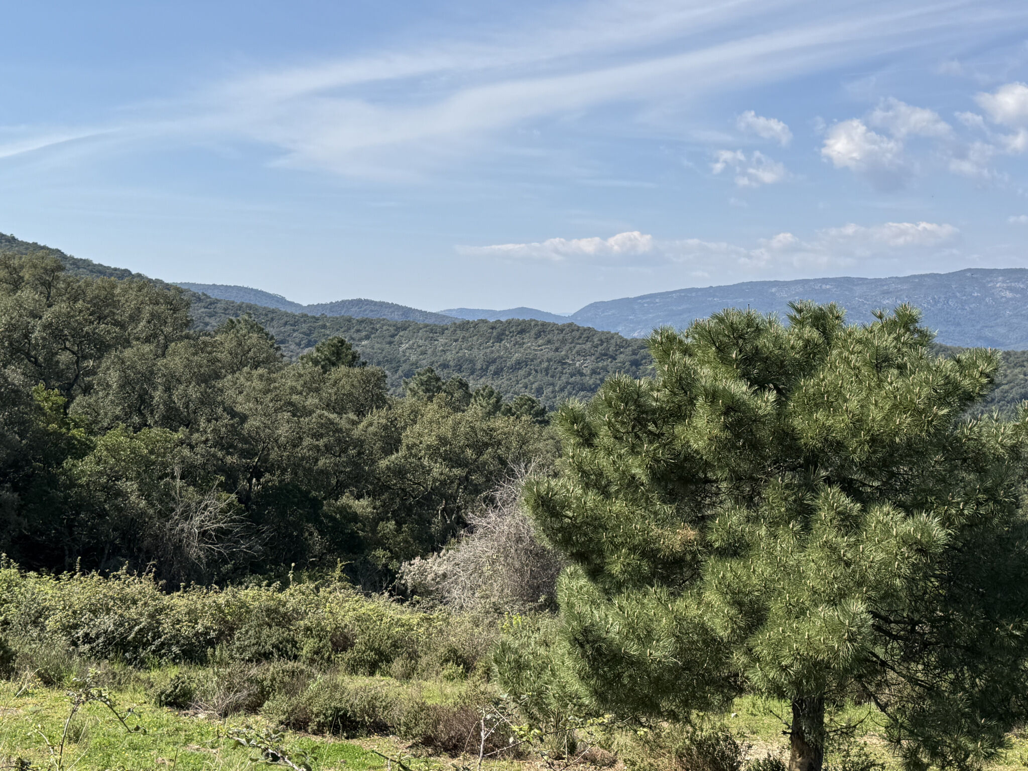 Photo 18 — AGENCE DU LAVANDIN IMMOBILIER