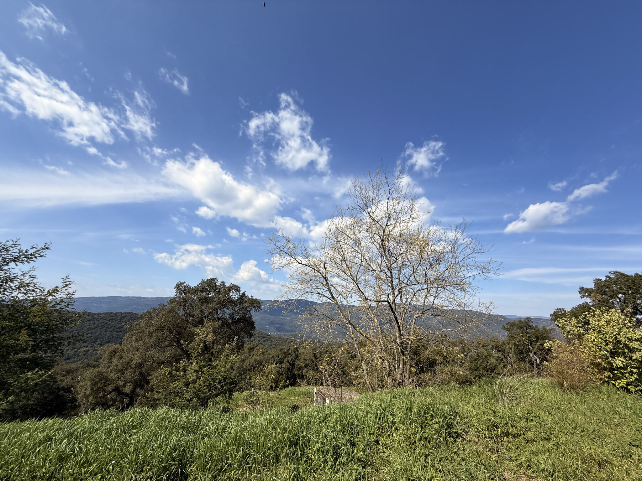 Photo 16 — AGENCE DU LAVANDIN IMMOBILIER
