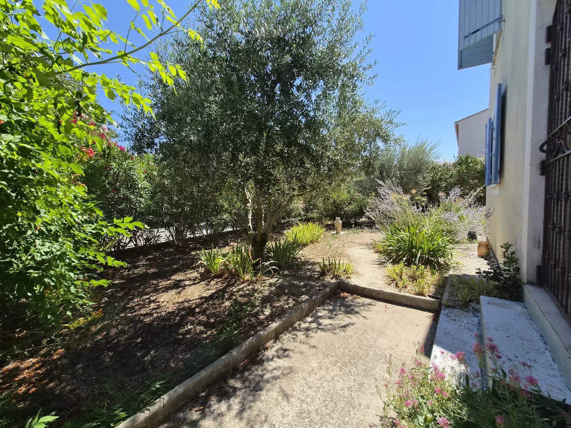 Photo 17 — ENTRE ALPILLES ET LUBERON