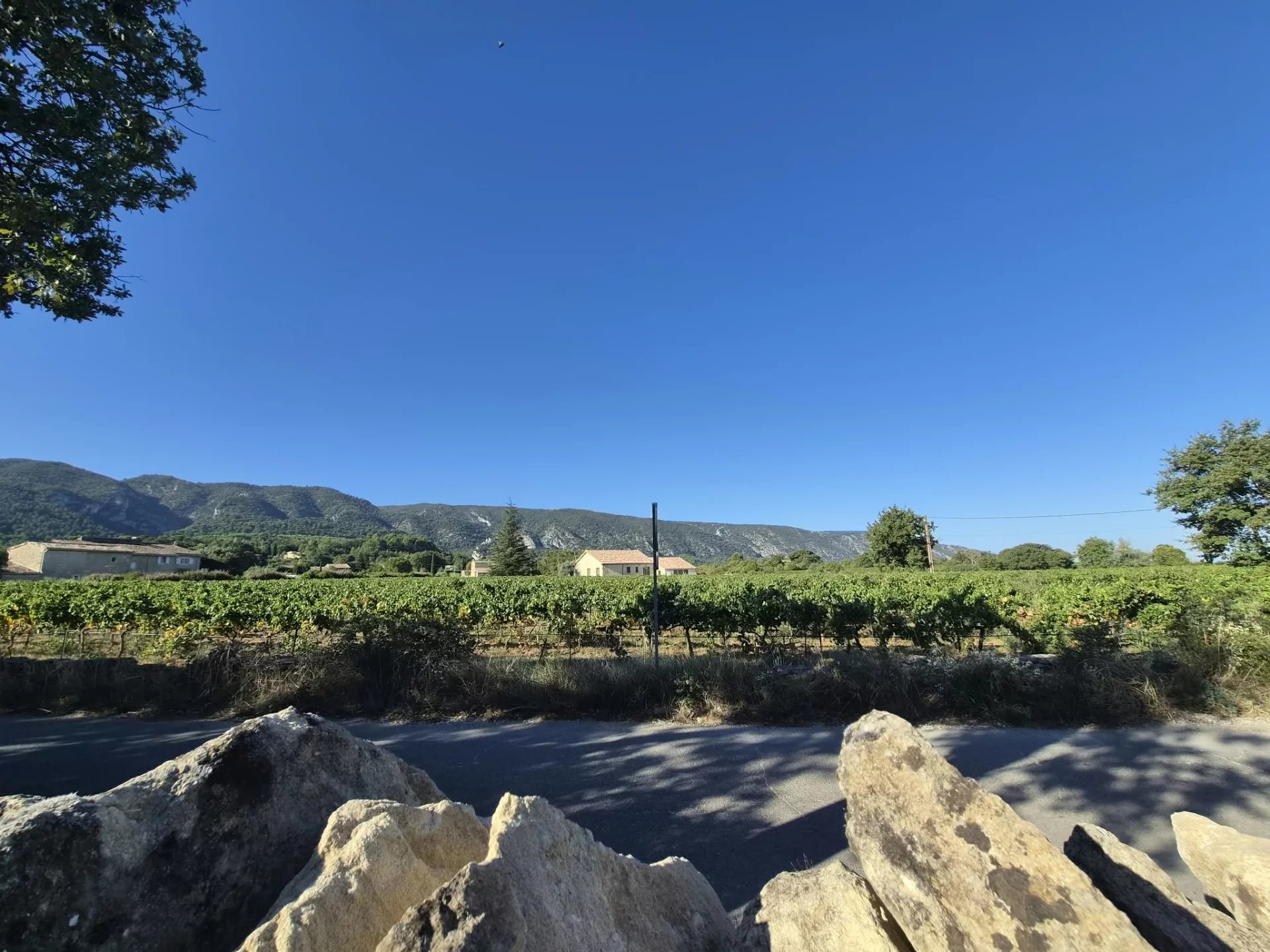 Photo 4 — ENTRE ALPILLES ET LUBERON