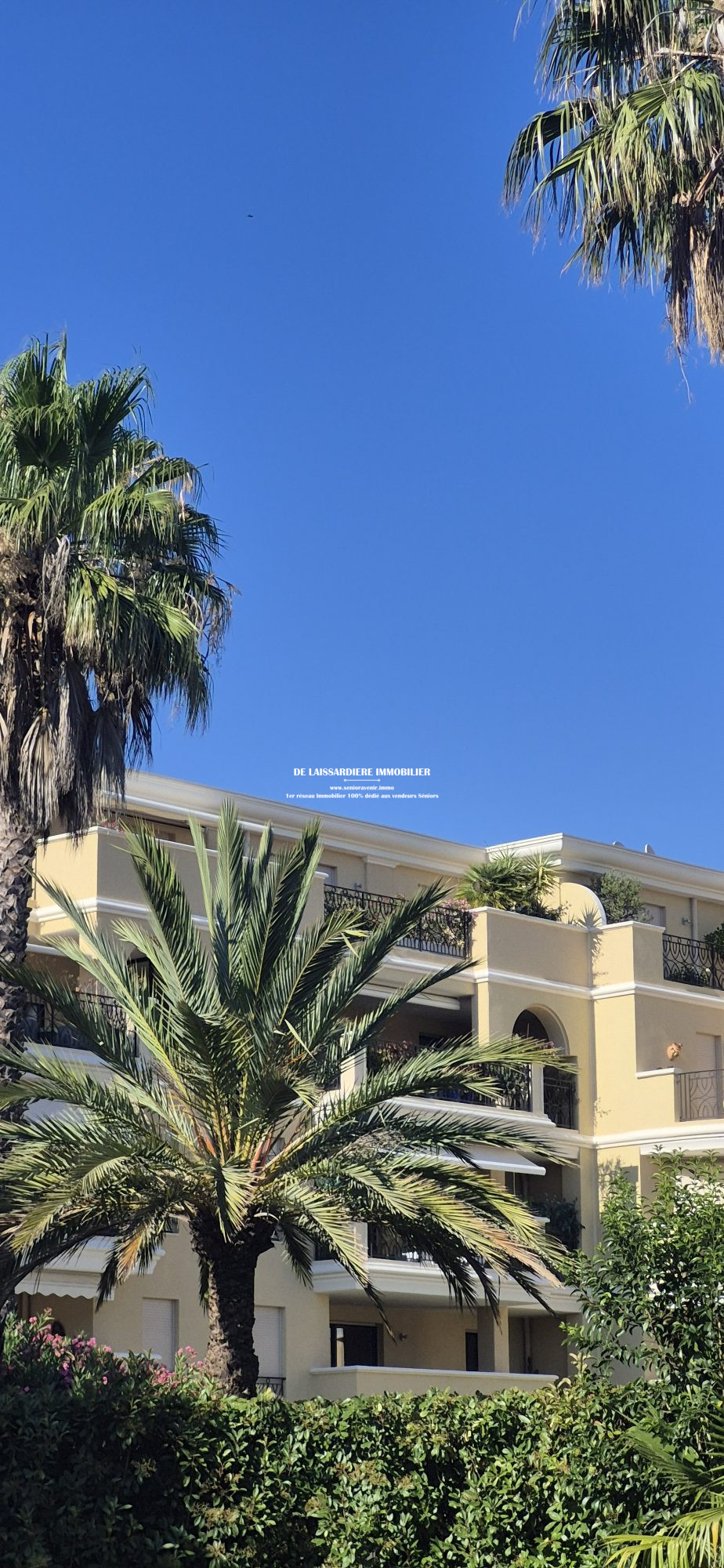 Photo 21 — SENIORAVENIR.IMMO