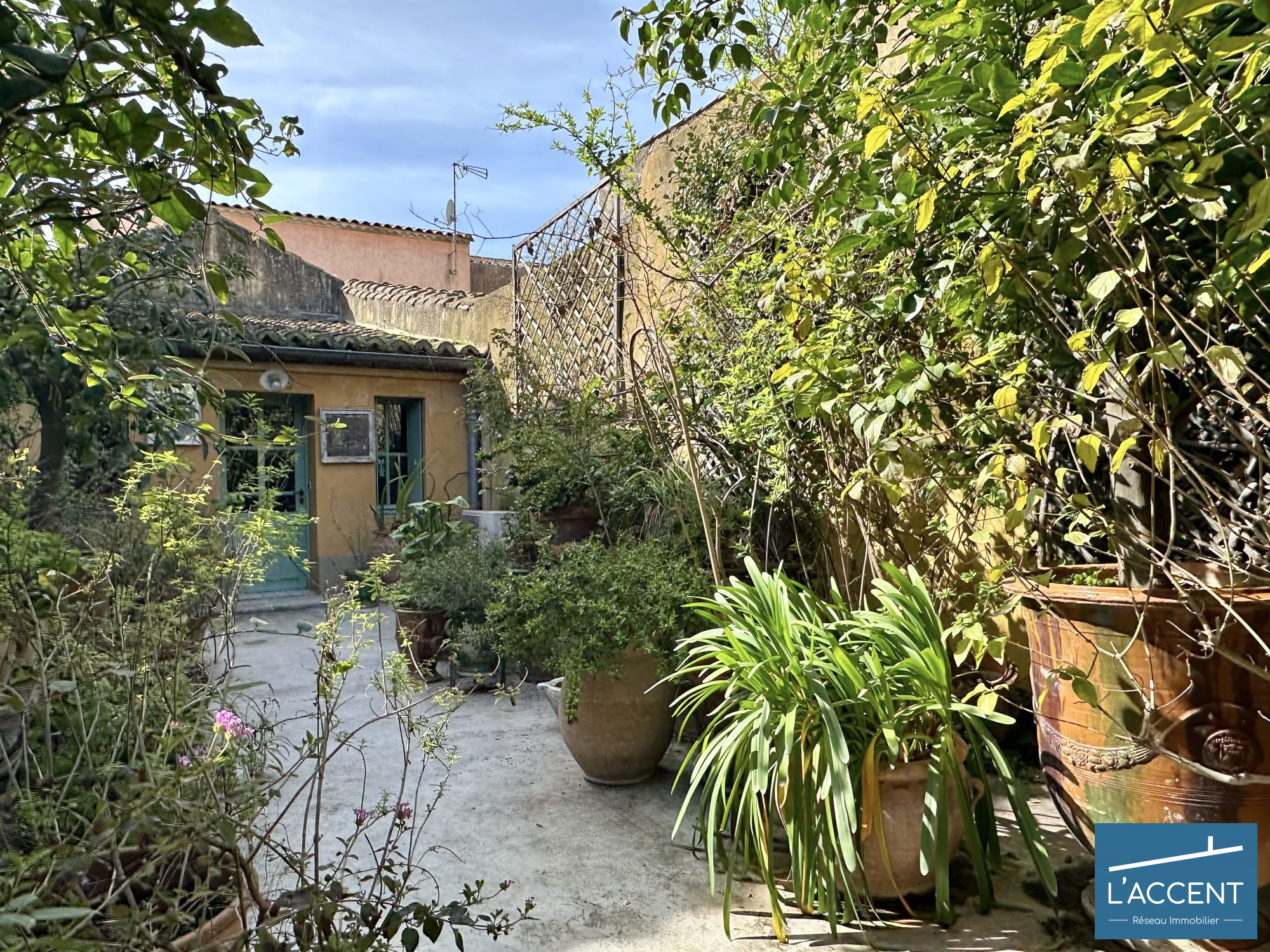 Photo 4 — L'ACCENT