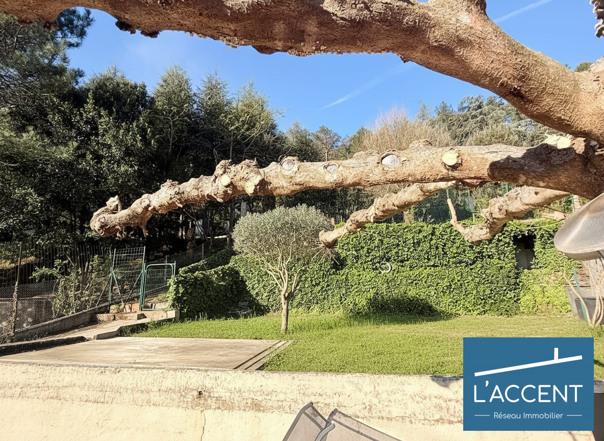 Photo 3 — L'ACCENT