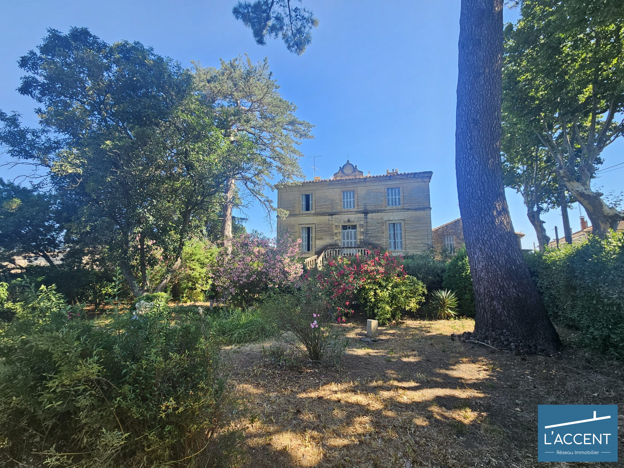 Photo 9 — L'ACCENT