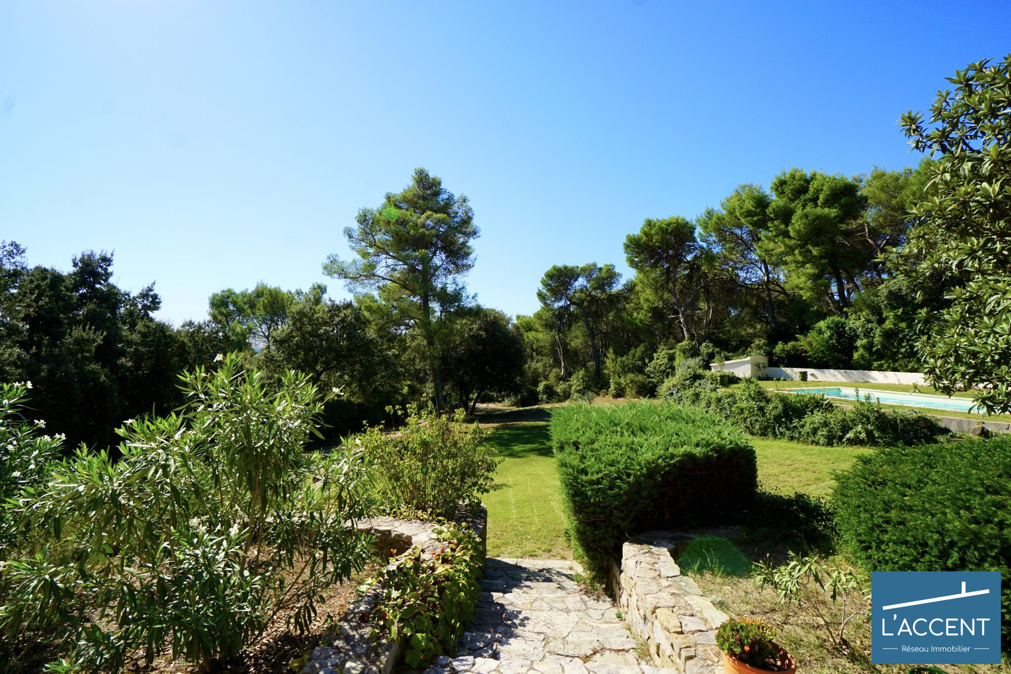 Photo 3 — L'ACCENT