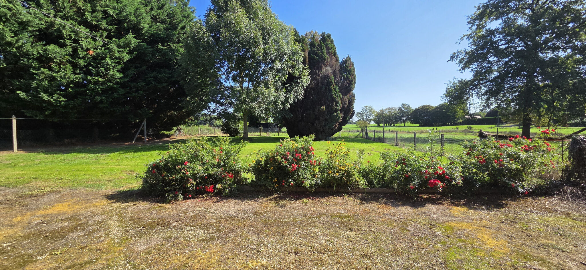 Photo 4 — IMMO COUR ET JARDIN